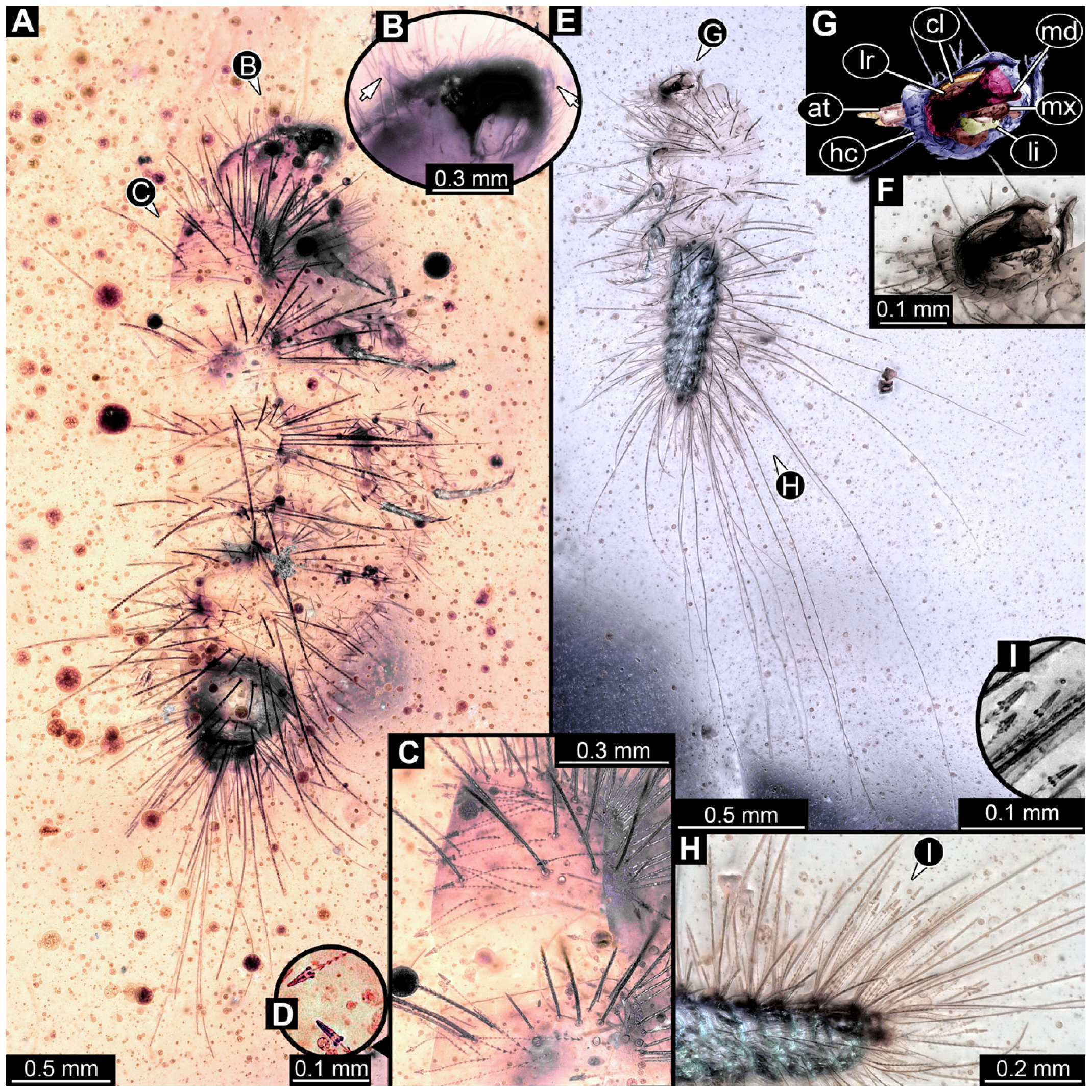 Insects 16 00710 g028