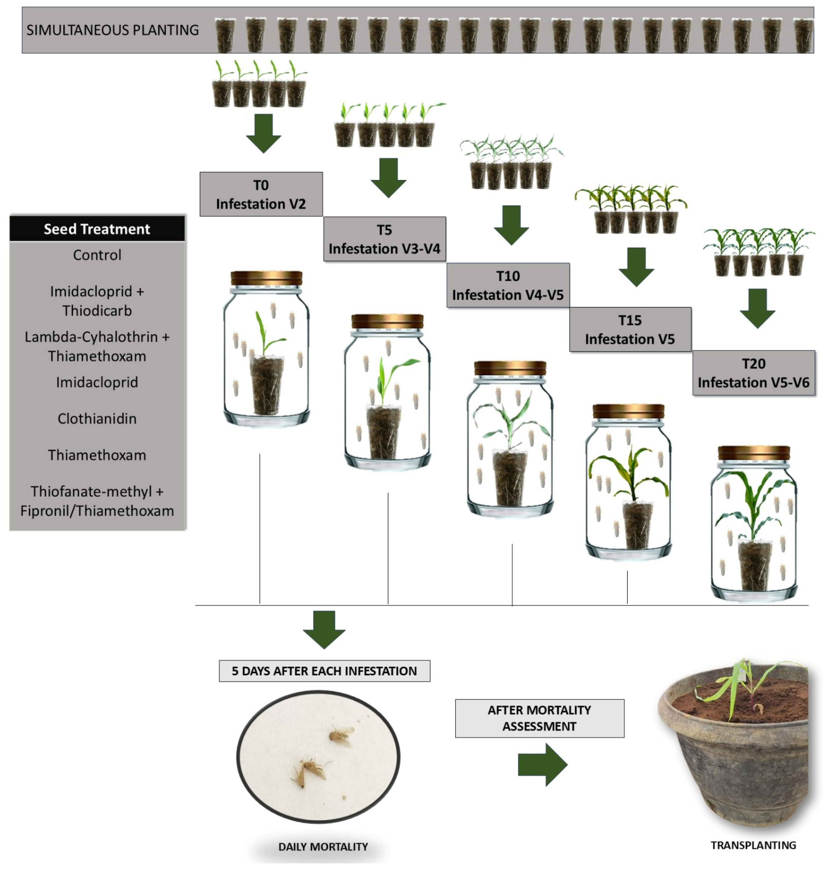 Insects 16 00713 g001