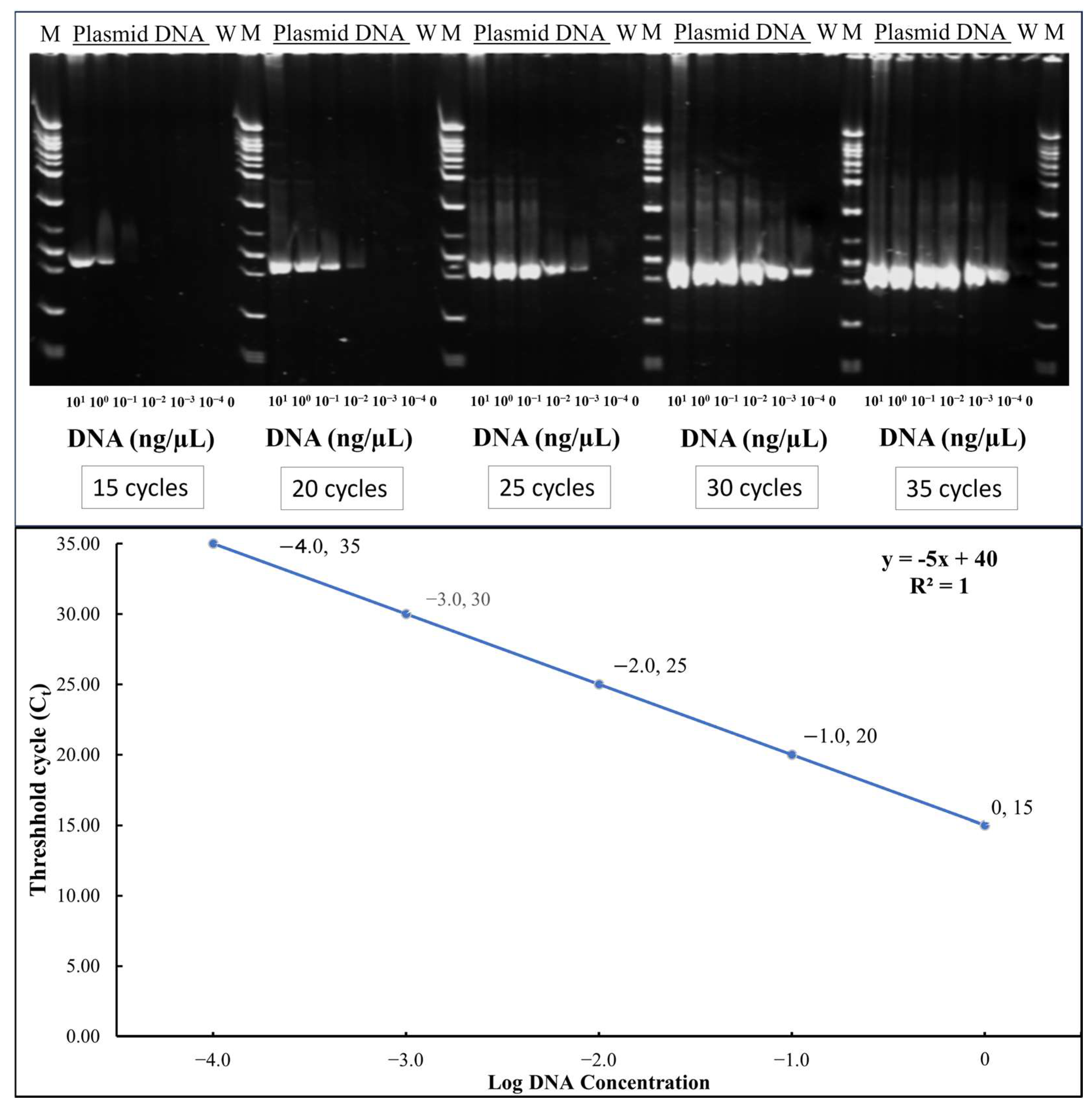 Insects 16 00721 g001