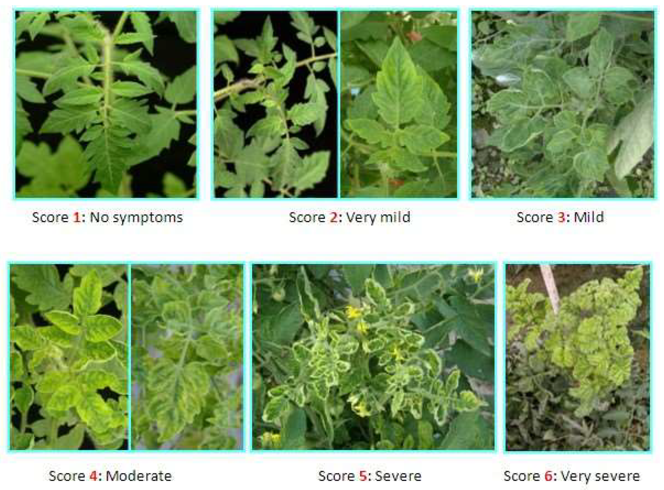 Insects 16 00721 g002