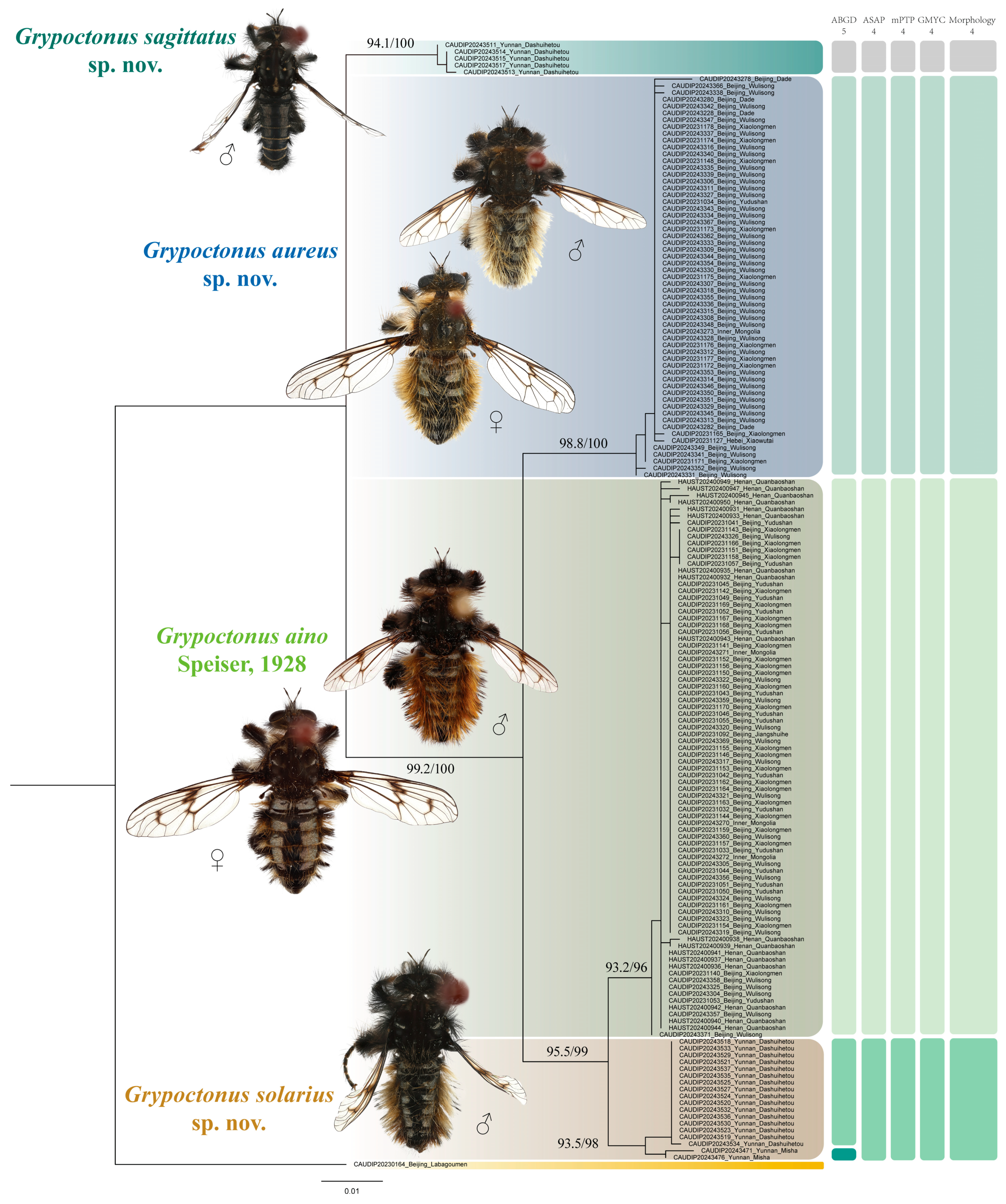 Insects 16 00722 g001