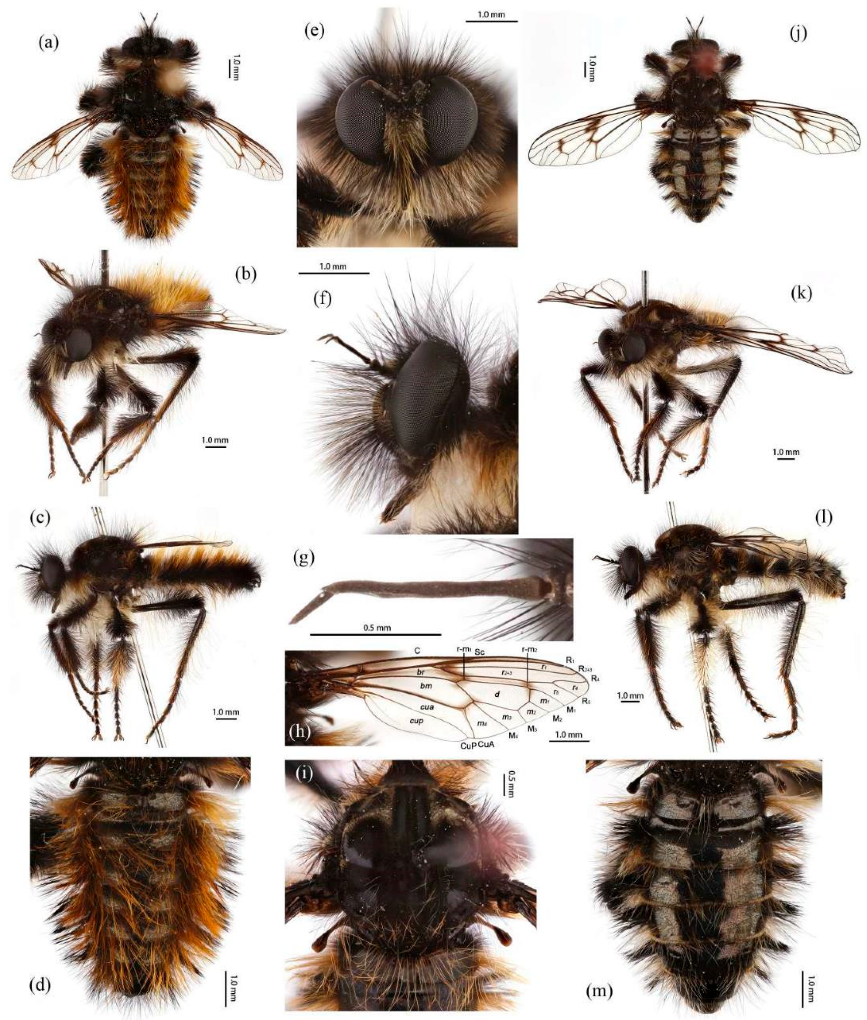 Insects 16 00722 g005