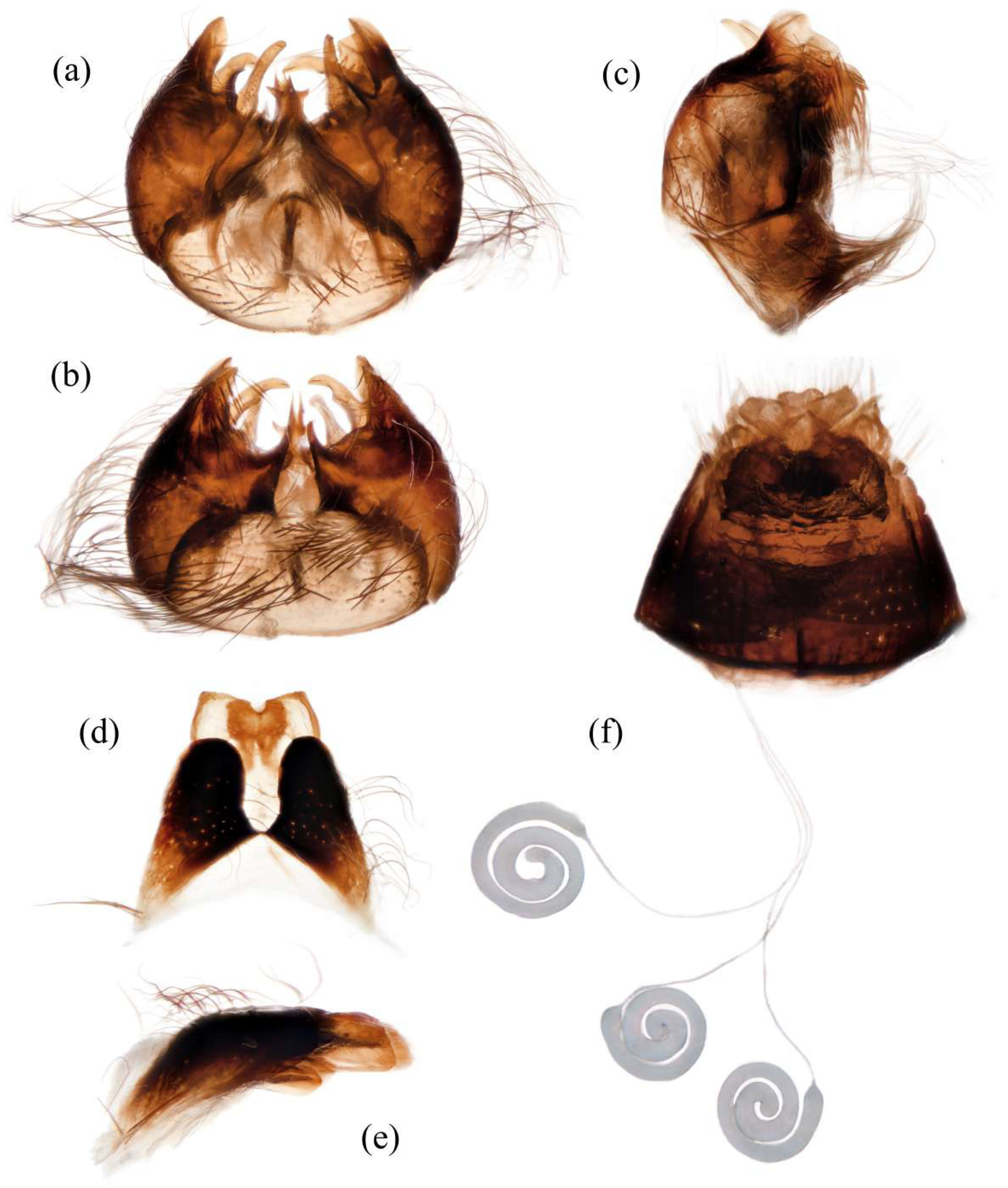 Insects 16 00722 g008