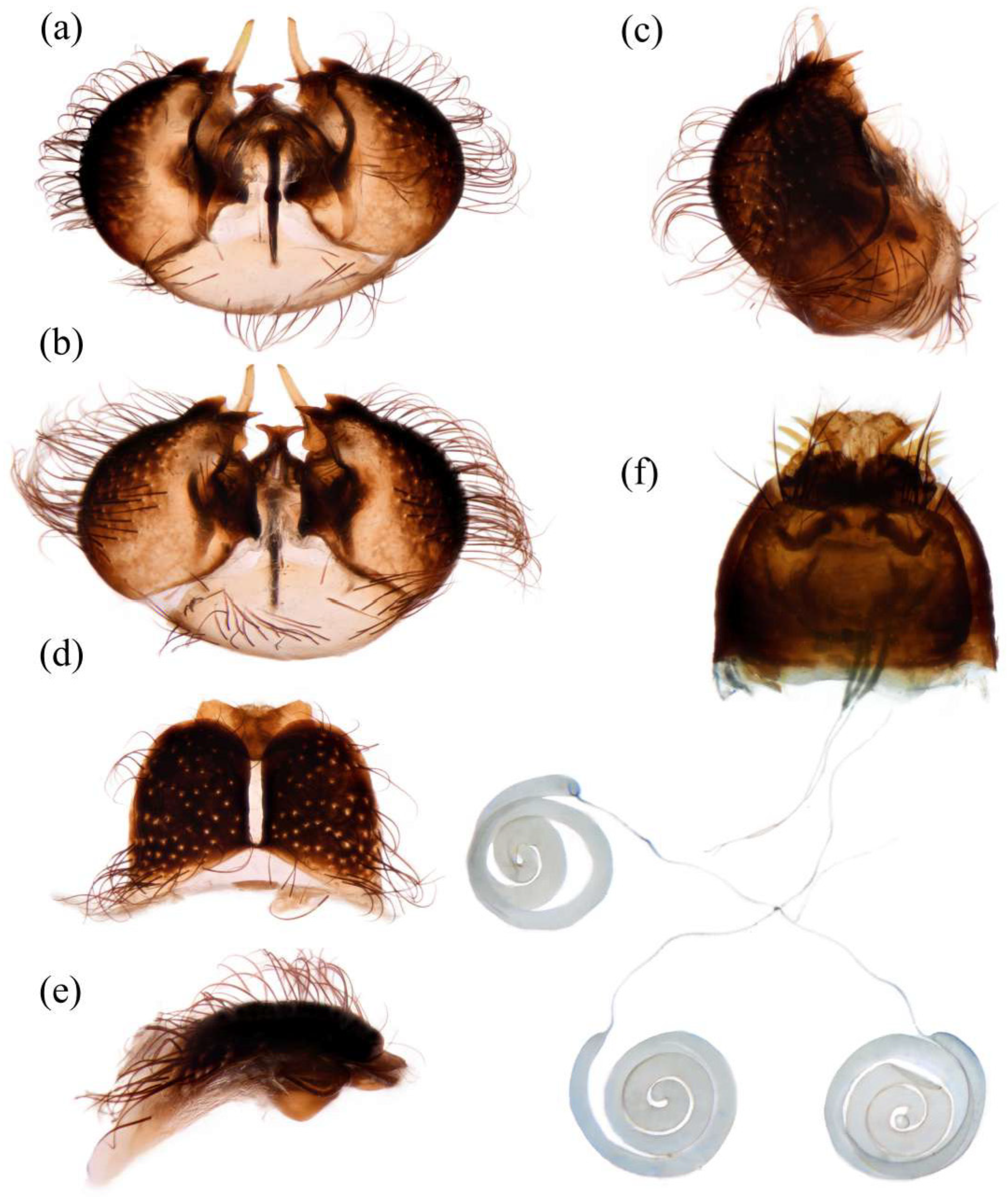 Insects 16 00722 g012