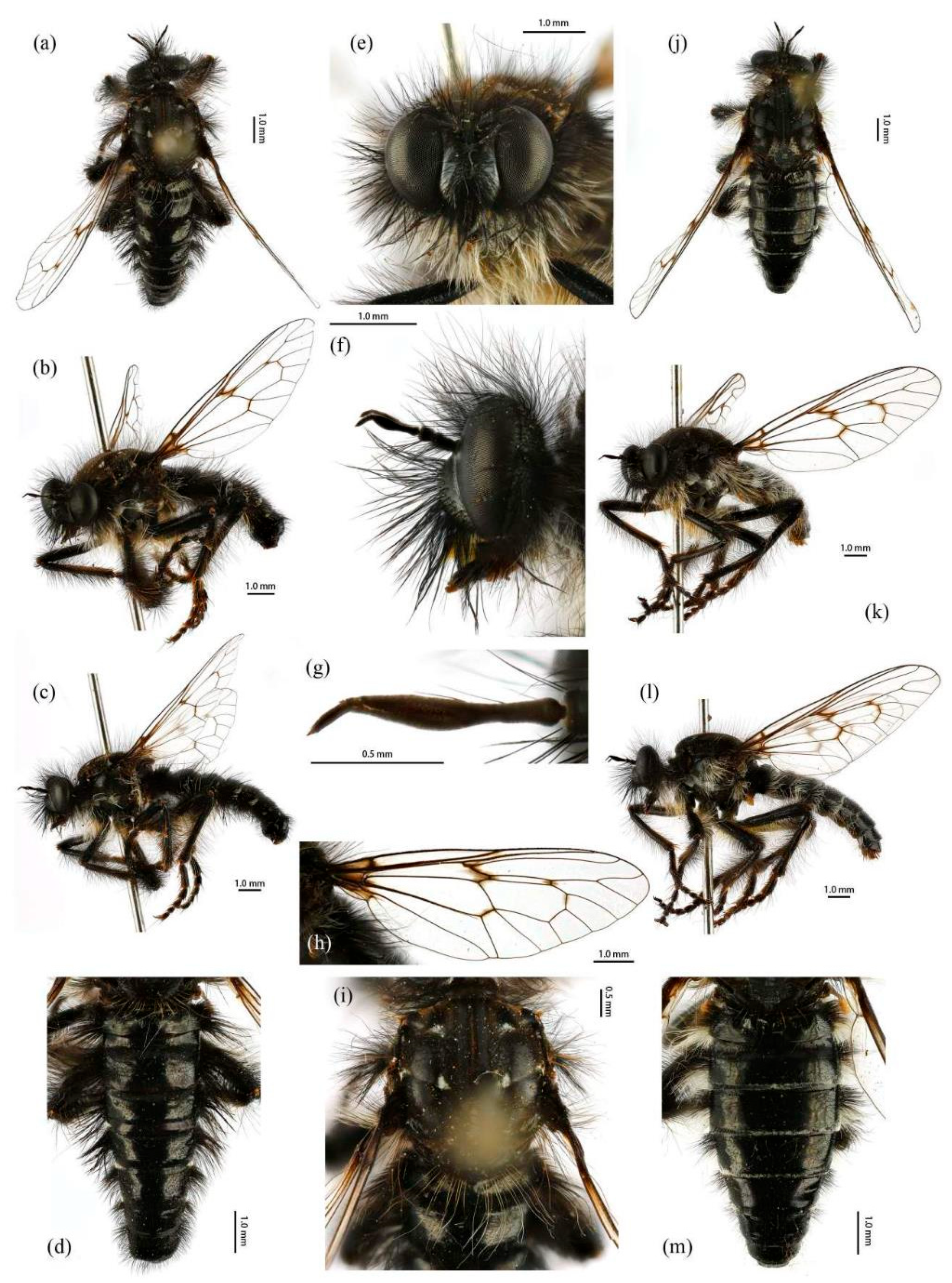 Insects 16 00722 g015