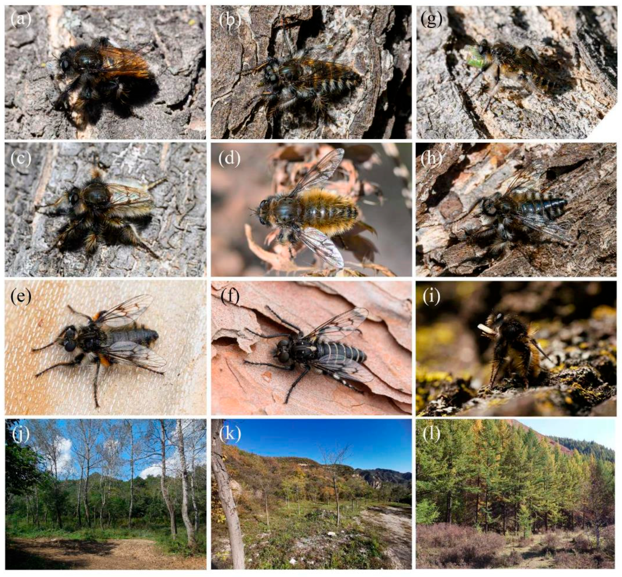 Insects 16 00722 g017