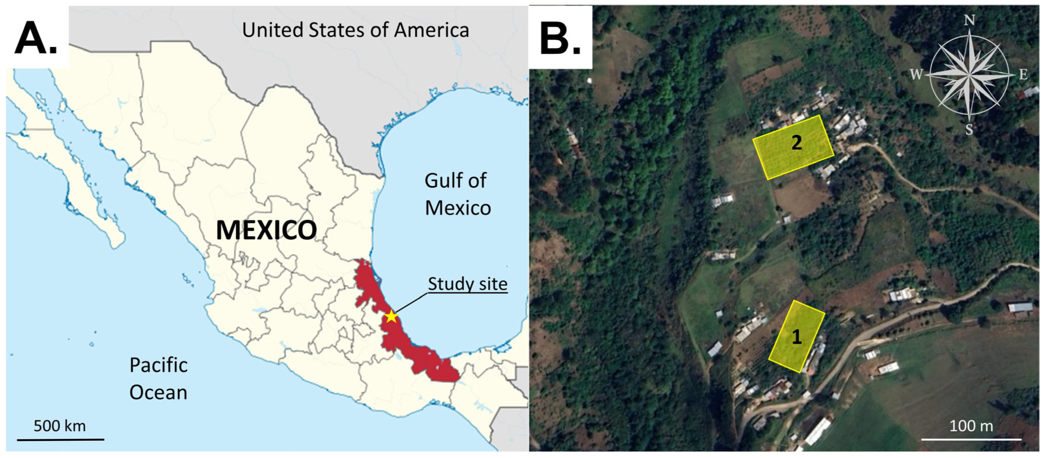 Insects 16 00732 g001