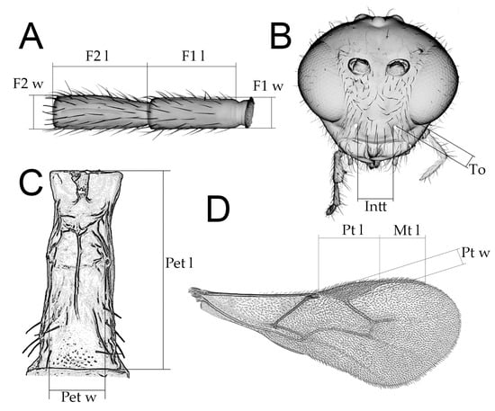 Insects 16 00736 g002