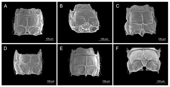 Insects 16 00736 g004