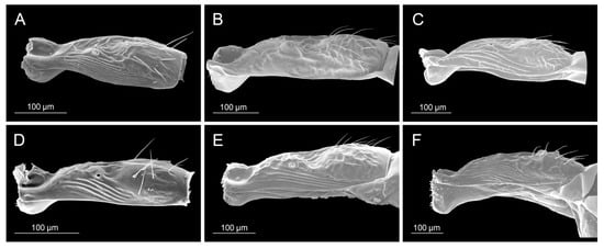 Insects 16 00736 g005