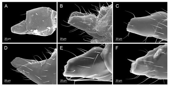 Insects 16 00736 g006