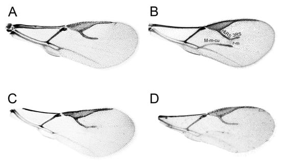 Insects 16 00736 g007