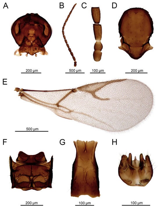 Insects 16 00736 g014