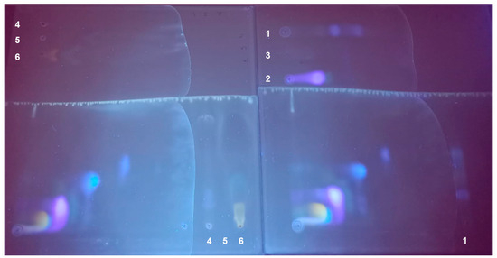 Insects 16 00756 g0a1