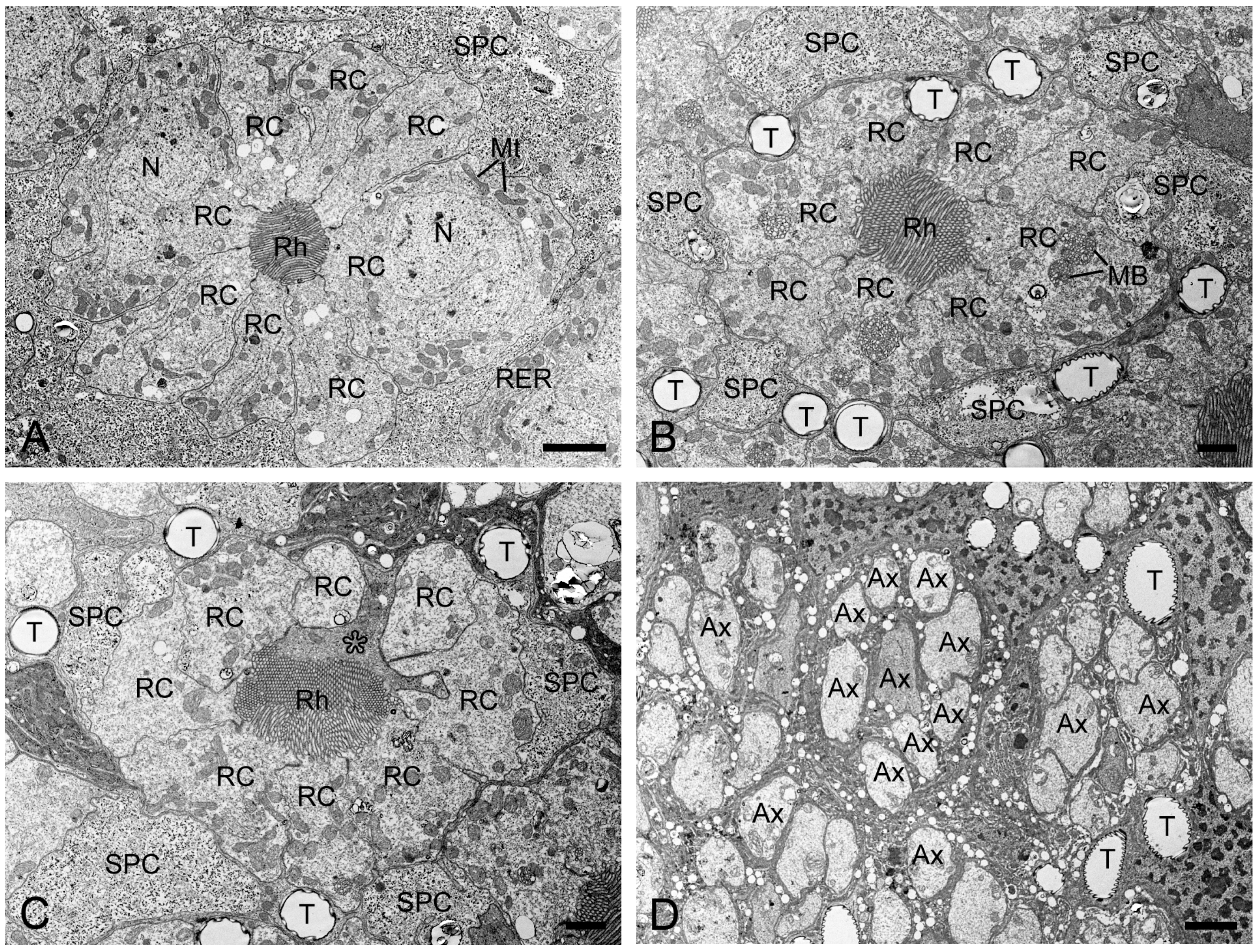 Insects 16 00771 g005