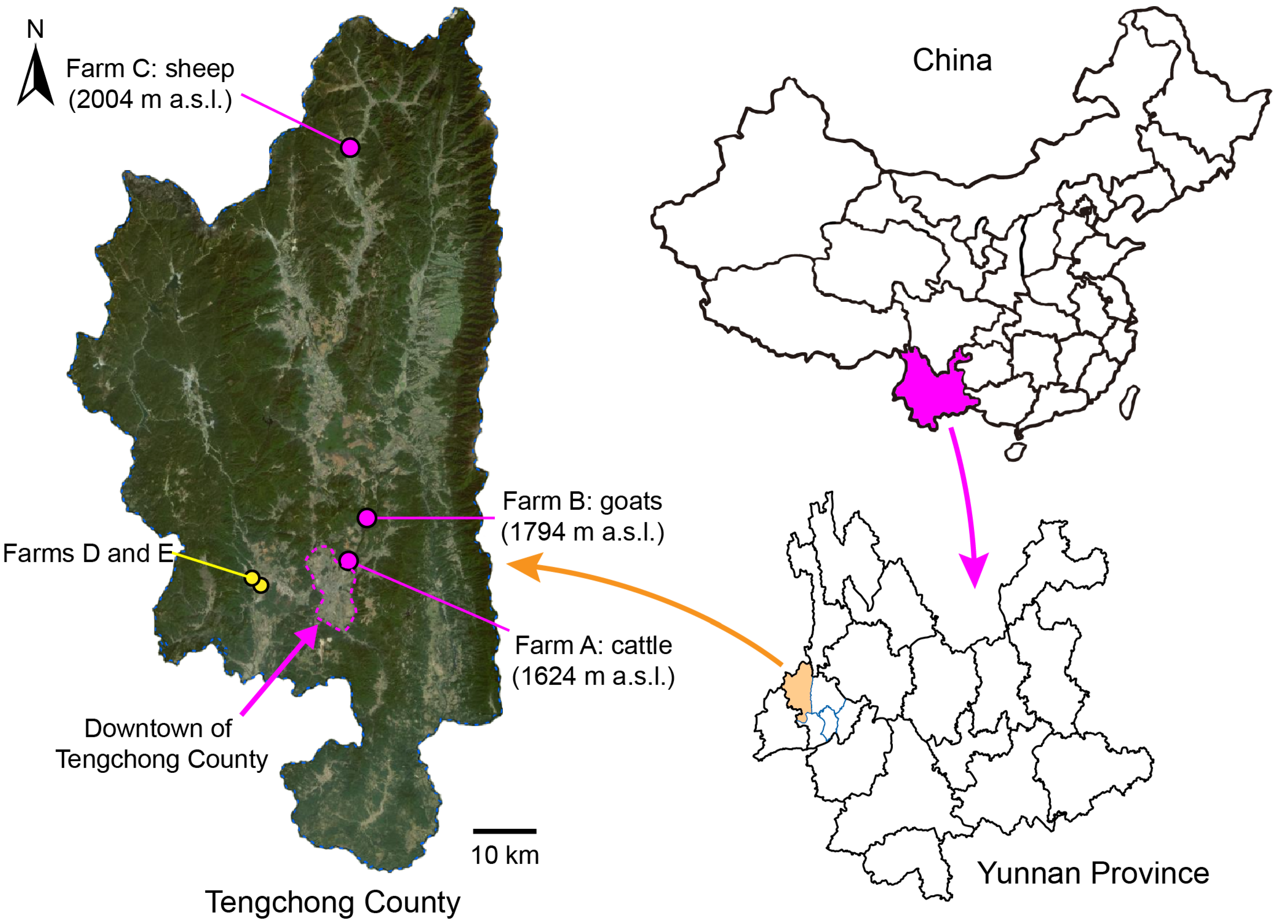 Insects 16 00780 g001