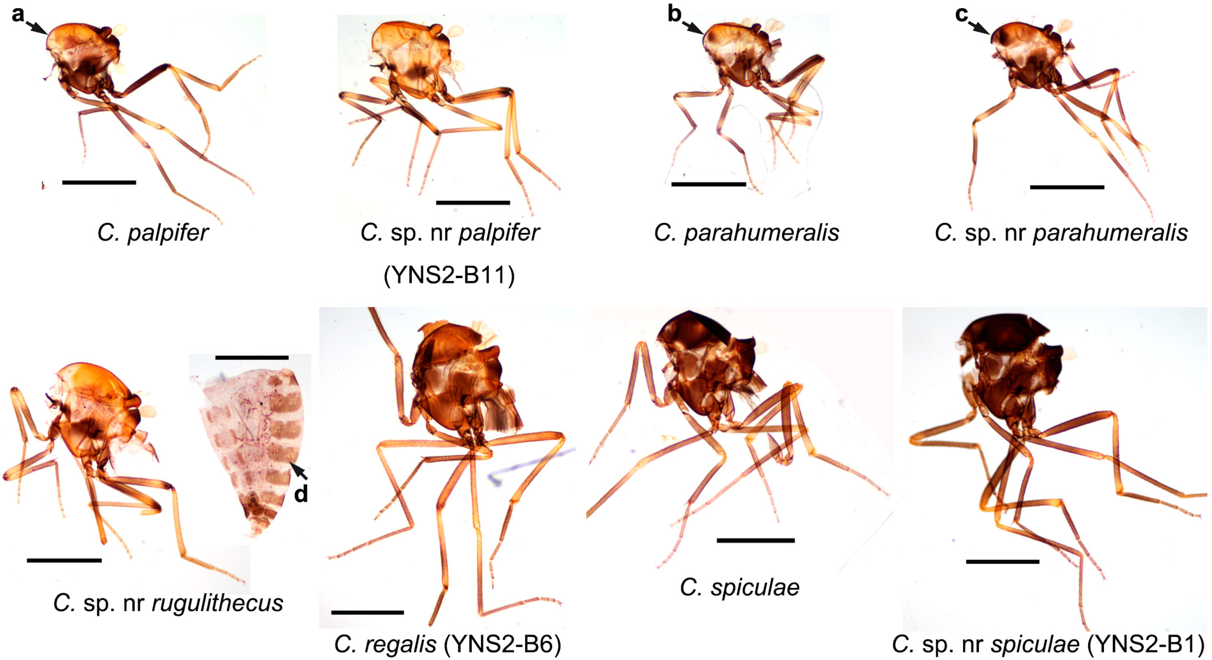 Insects 16 00780 g003