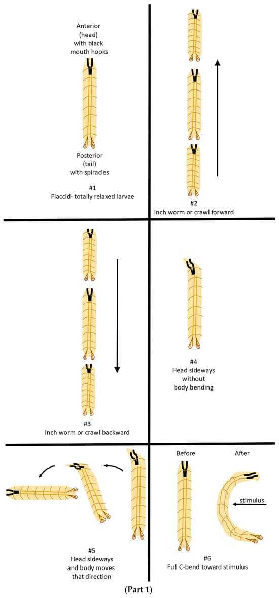 Insects 16 00787 g0a1a Insects 16 00787 g0a1a