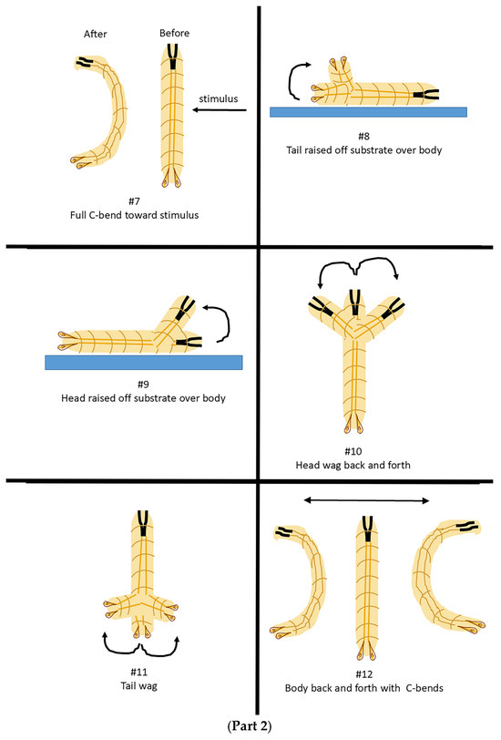 Insects 16 00787 g0a1b Insects 16 00787 g0a1b