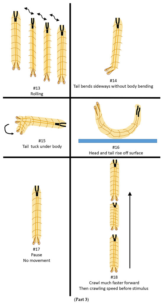 Insects 16 00787 g0a1c