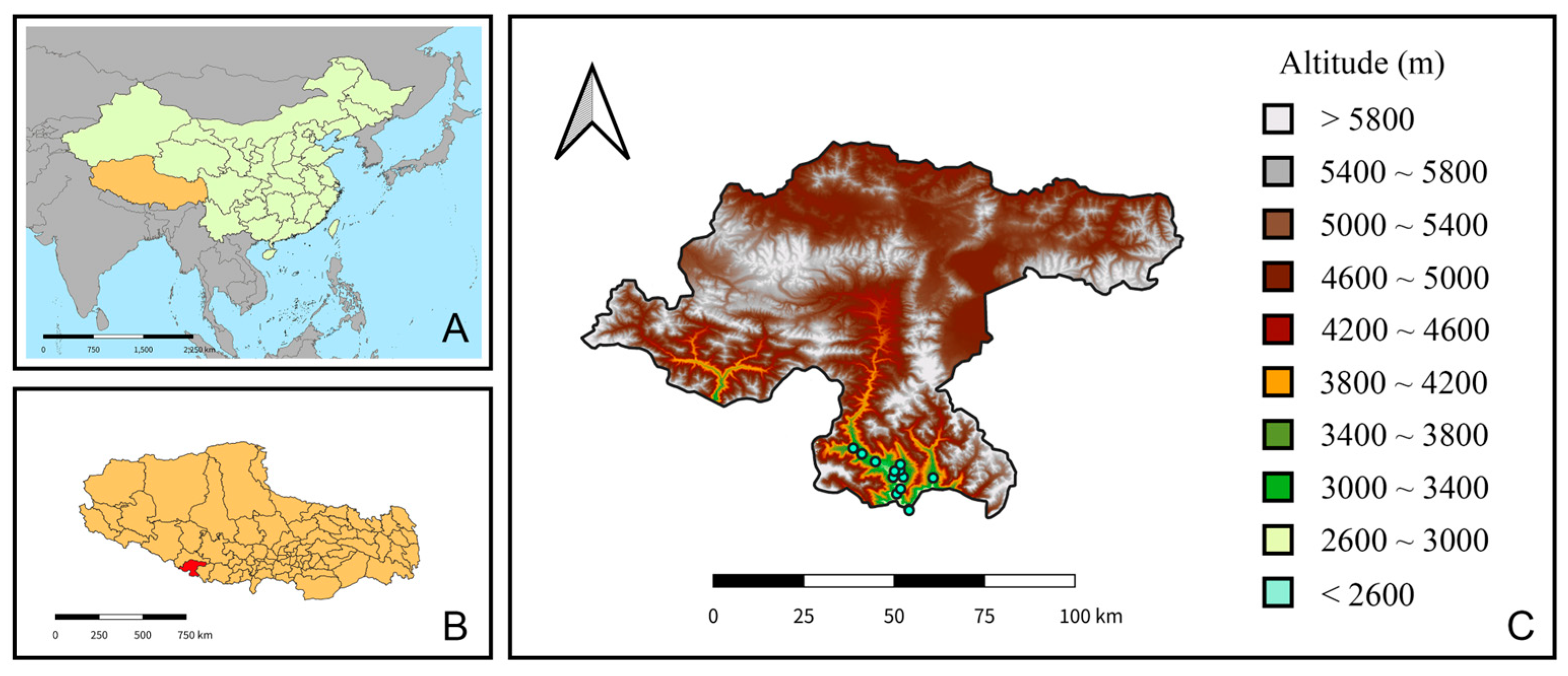 Insects 16 00788 g001