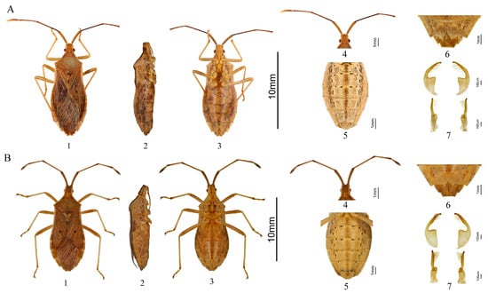 Insects 16 00797 g005