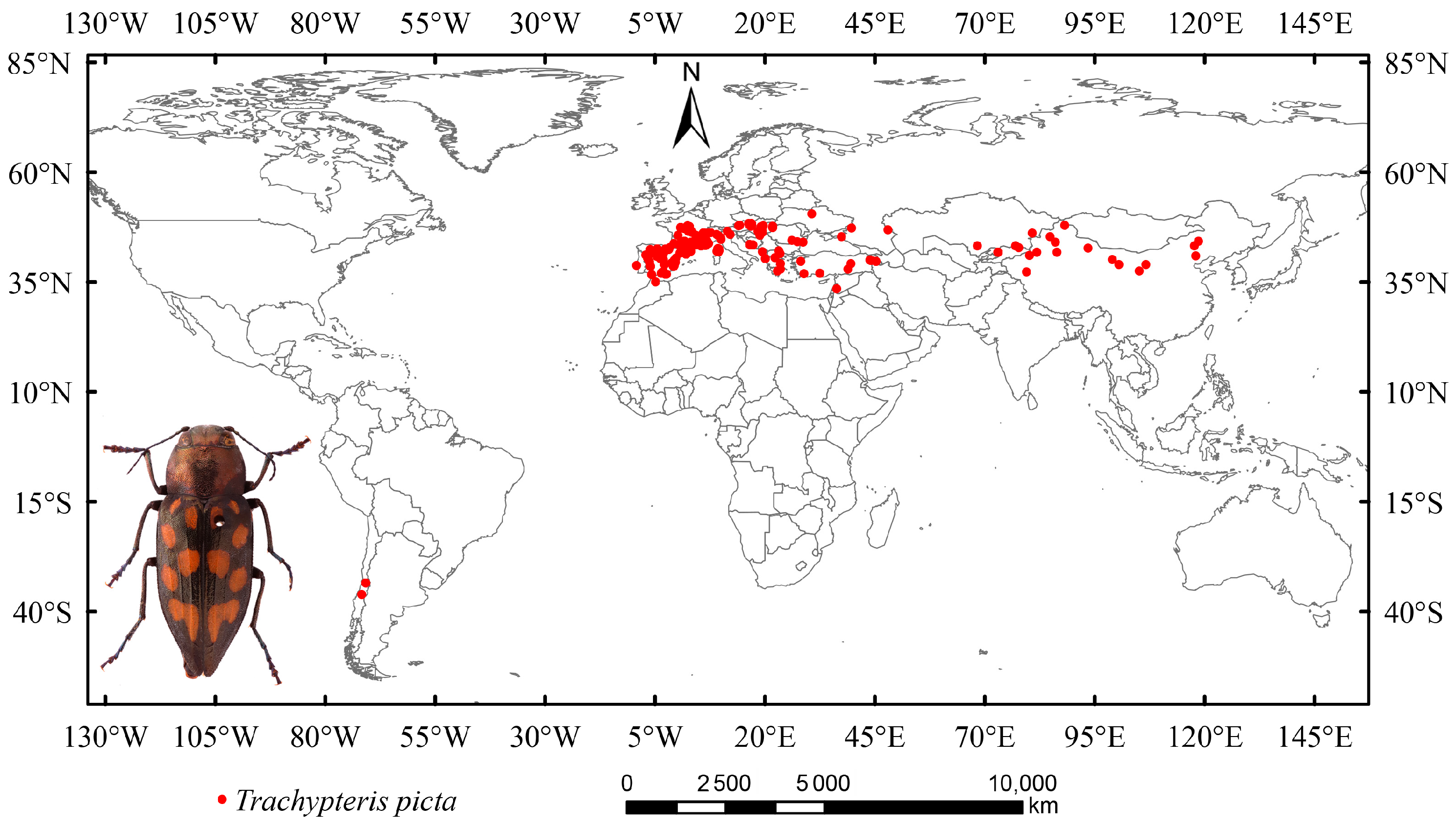 Insects 16 00802 g001