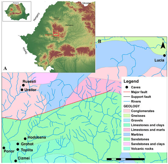 Insects 16 00806 g001