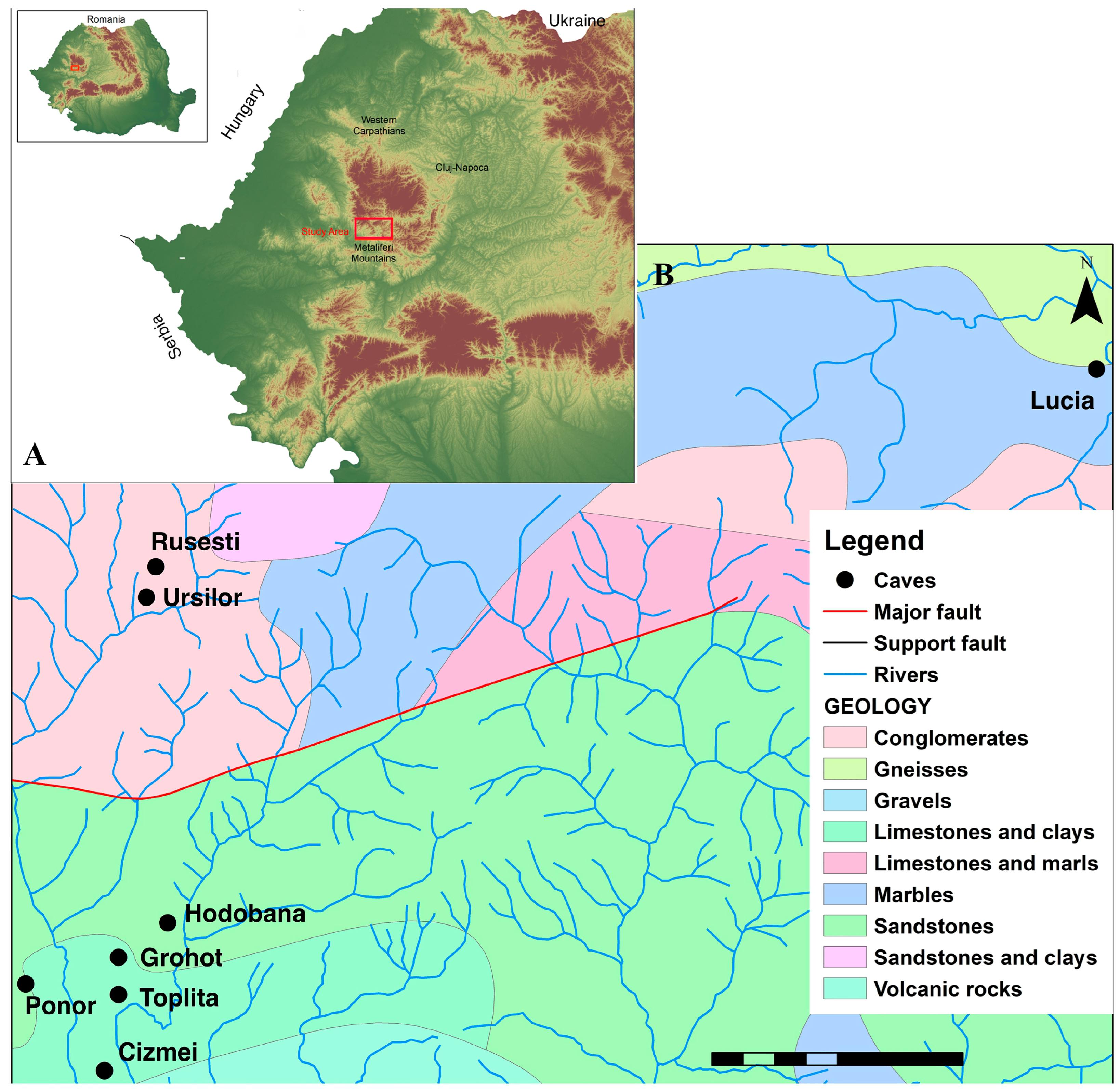Insects 16 00806 g001