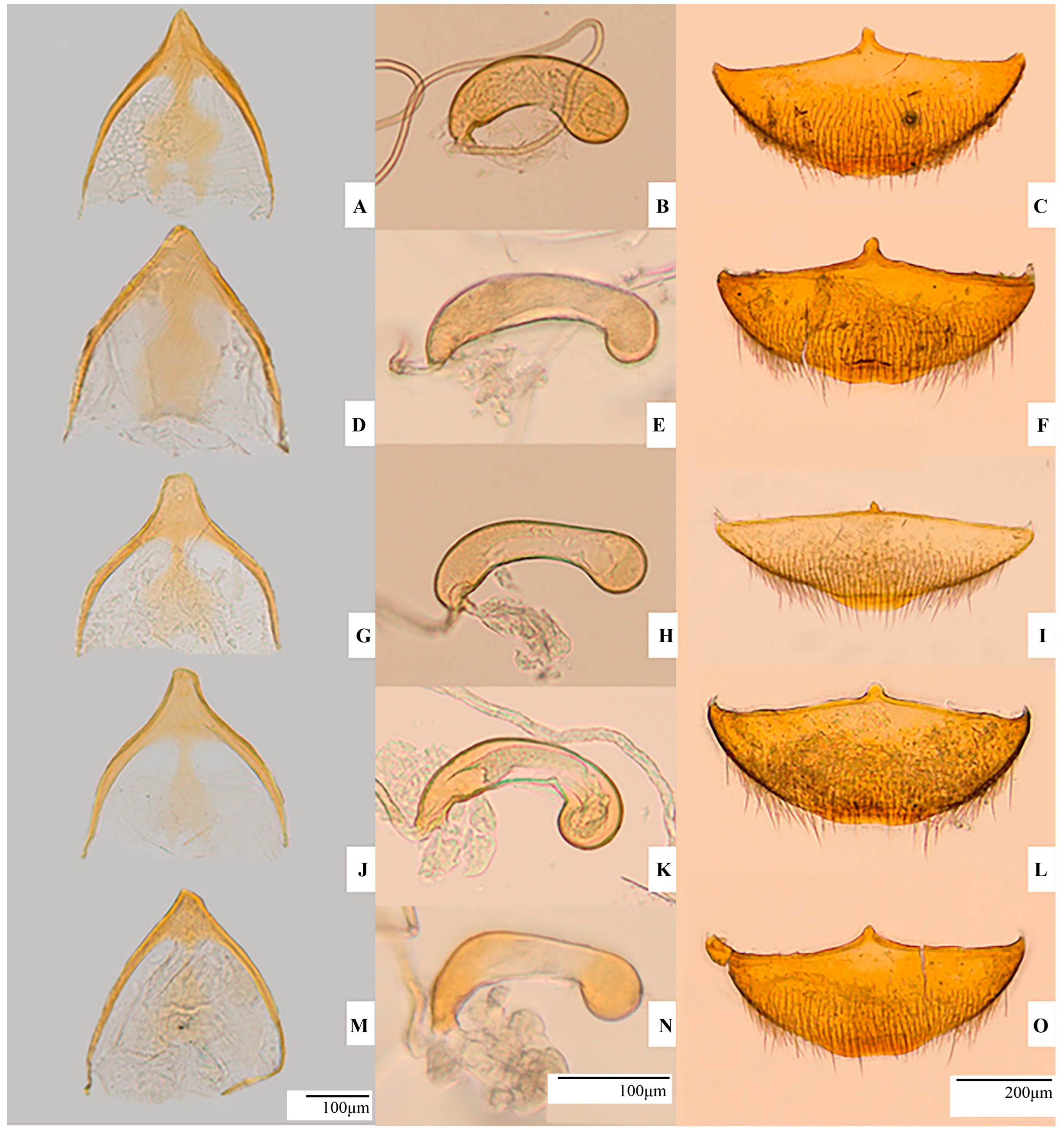 Insects 16 00806 g005