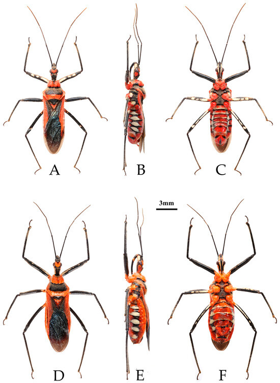 Insects 16 00823 g002