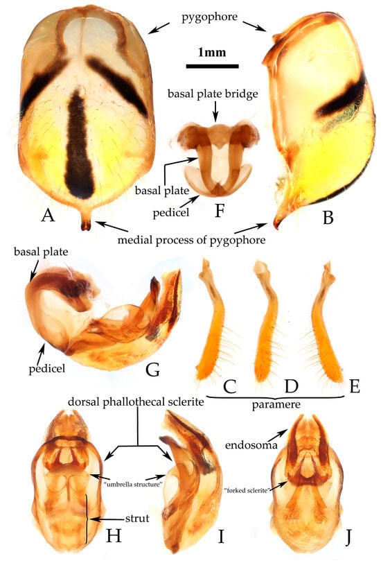 Insects 16 00823 g003