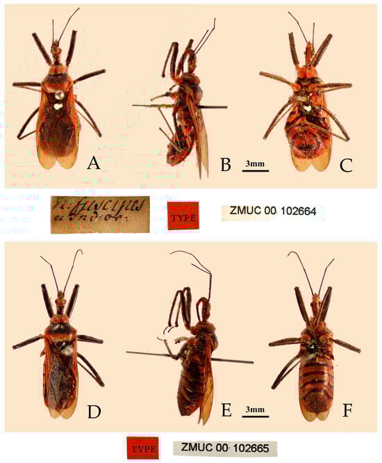 Insects 16 00823 g004