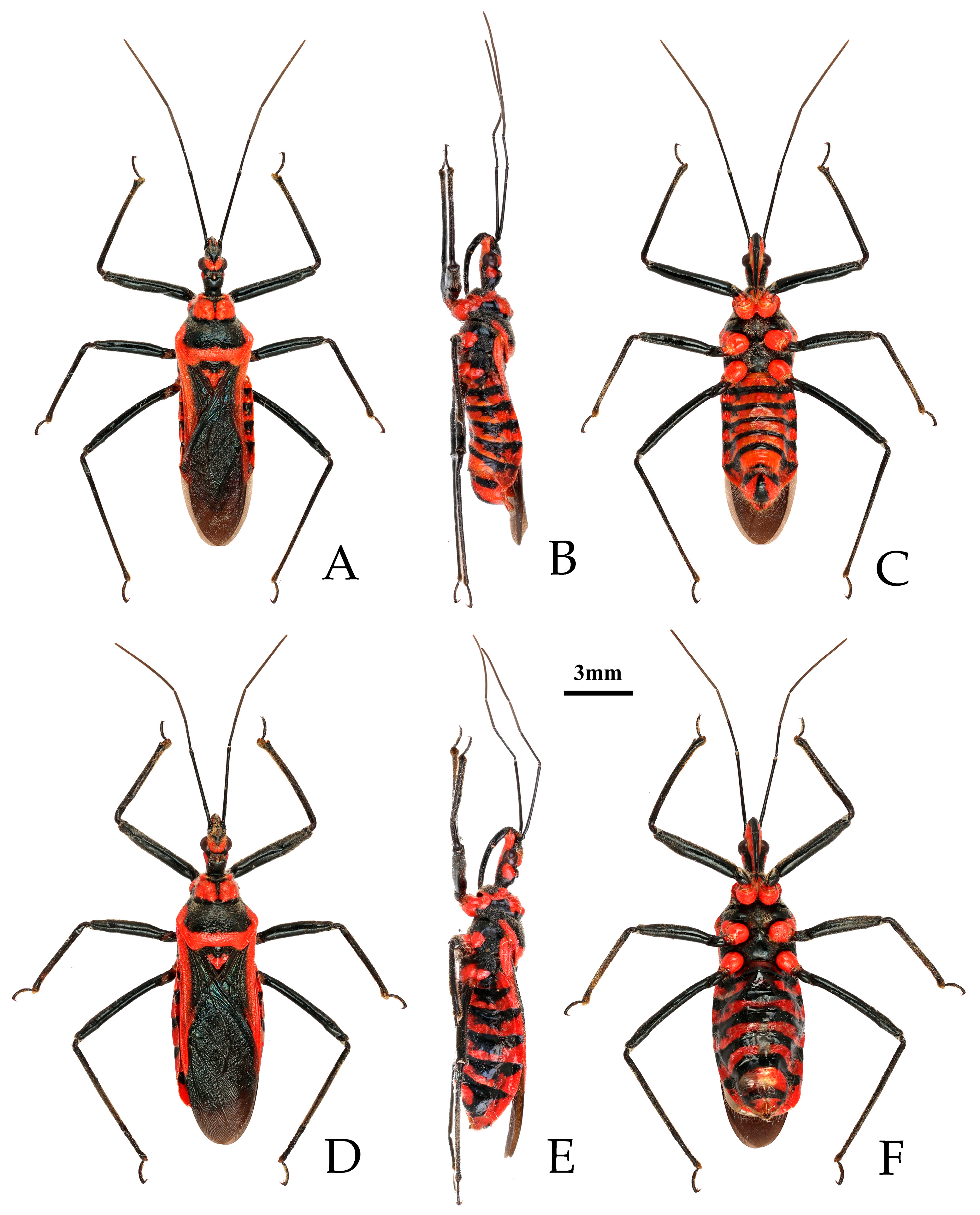 Insects 16 00823 g005 Insects 16 00823 g005