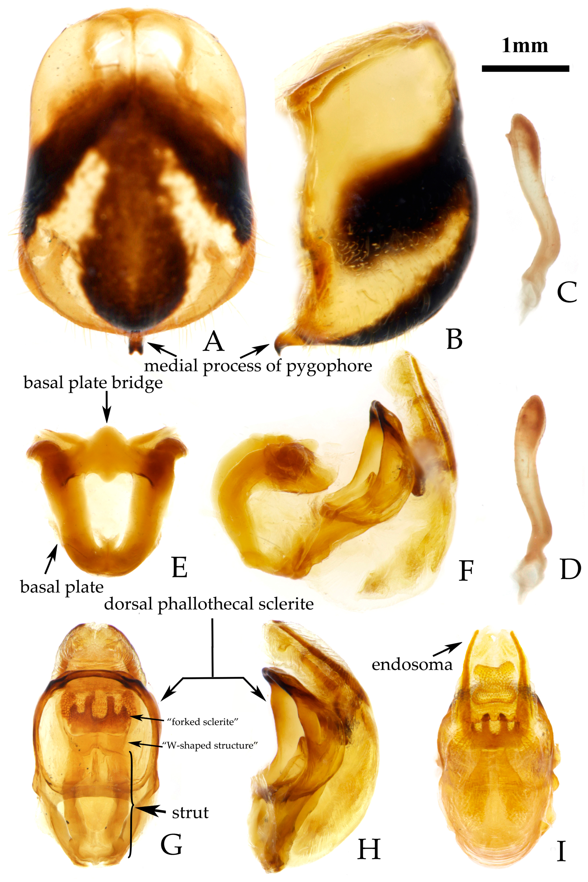 Insects 16 00823 g006 Insects 16 00823 g006