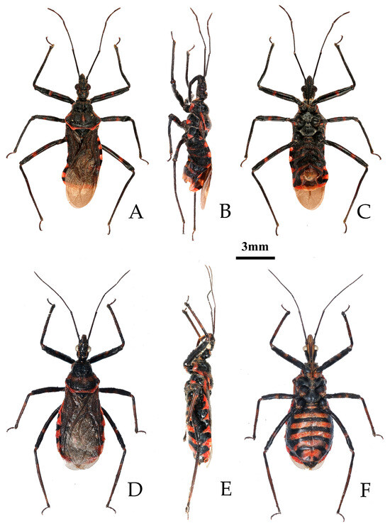 Insects 16 00823 g007