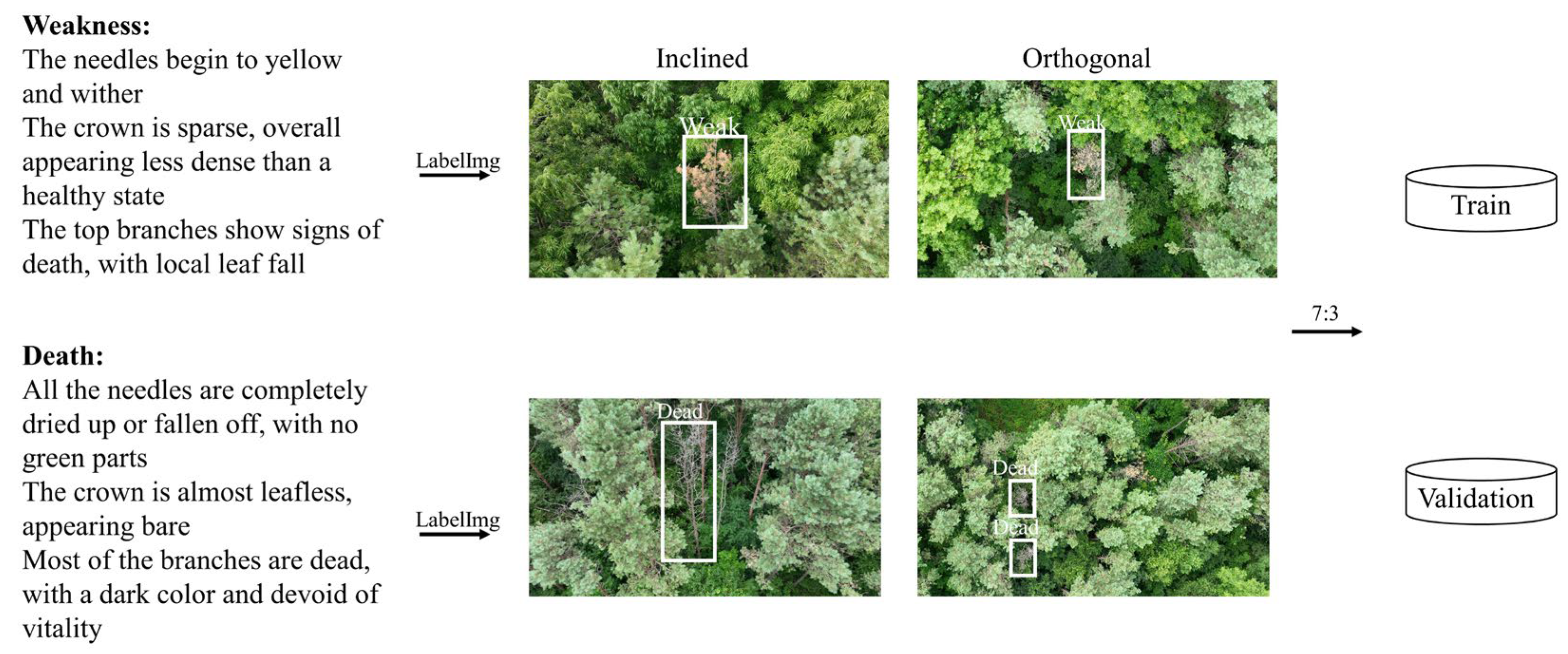 Insects 16 00829 g003