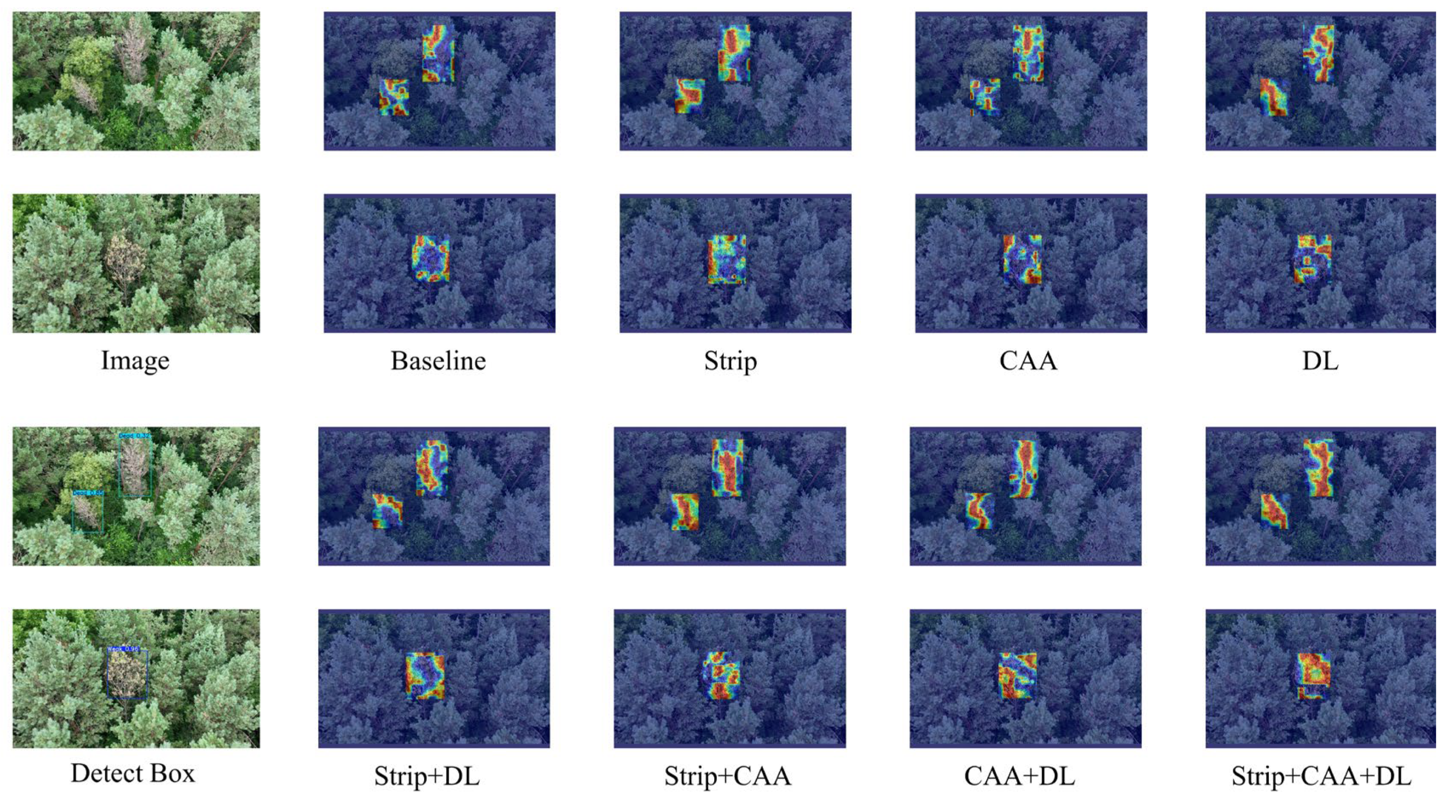 Insects 16 00829 g013