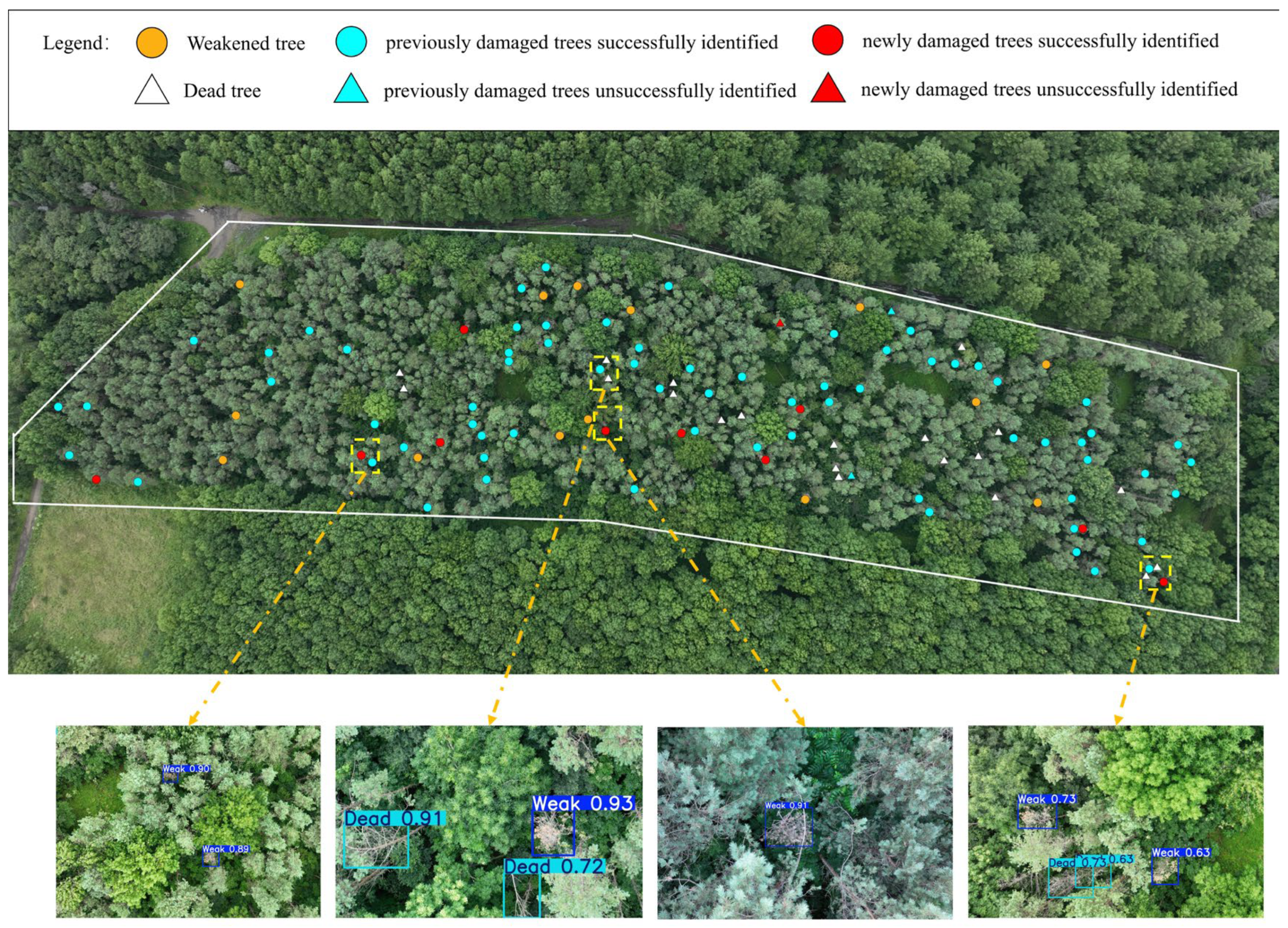 Insects 16 00829 g014