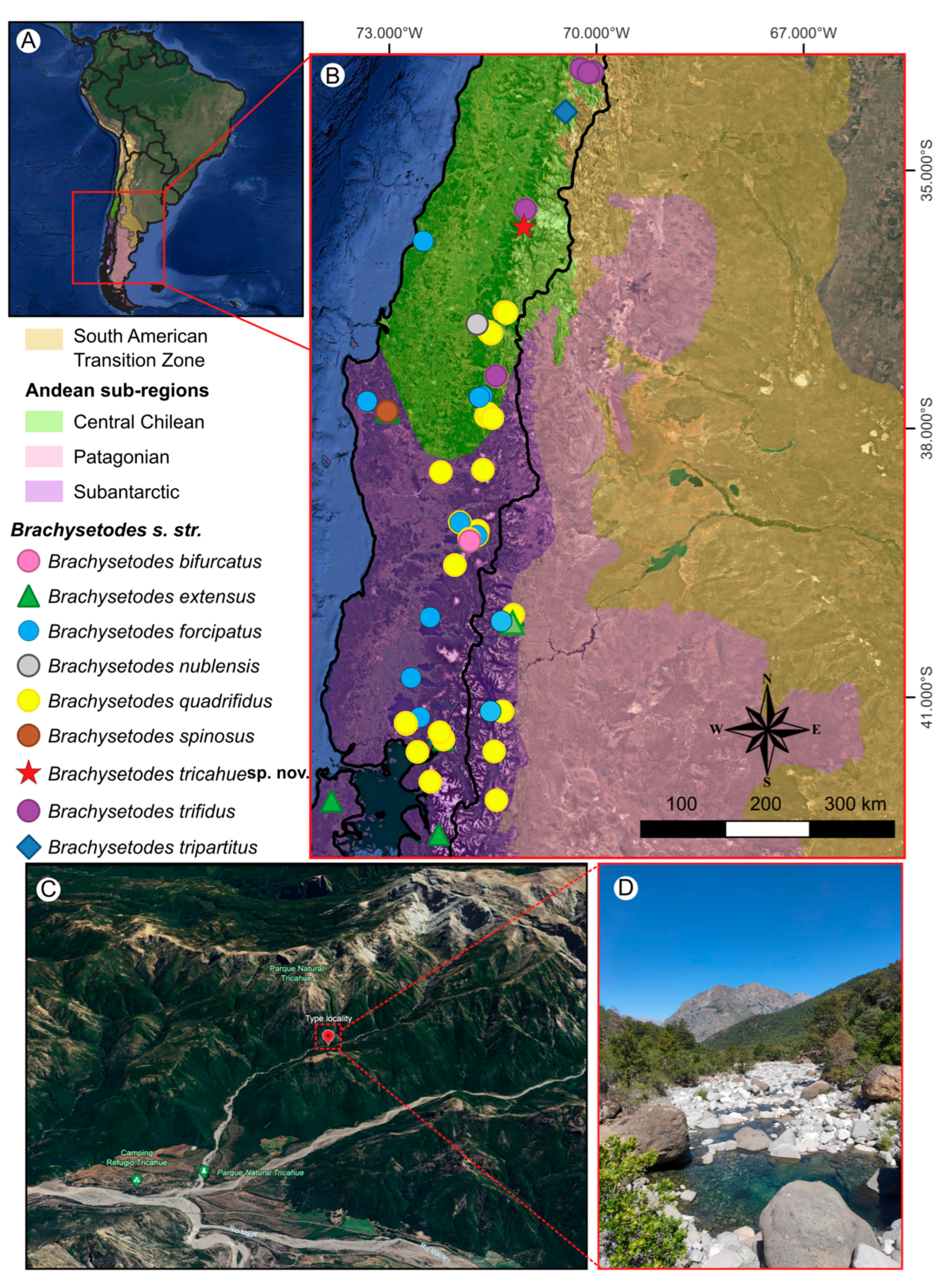 Insects 16 00832 g001