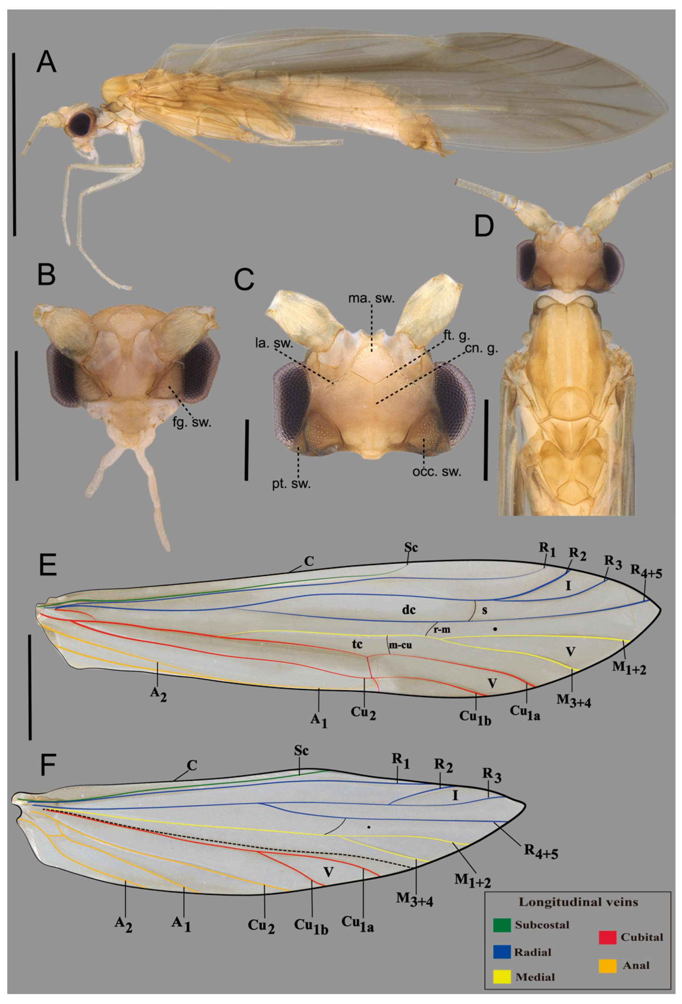 Insects 16 00832 g002