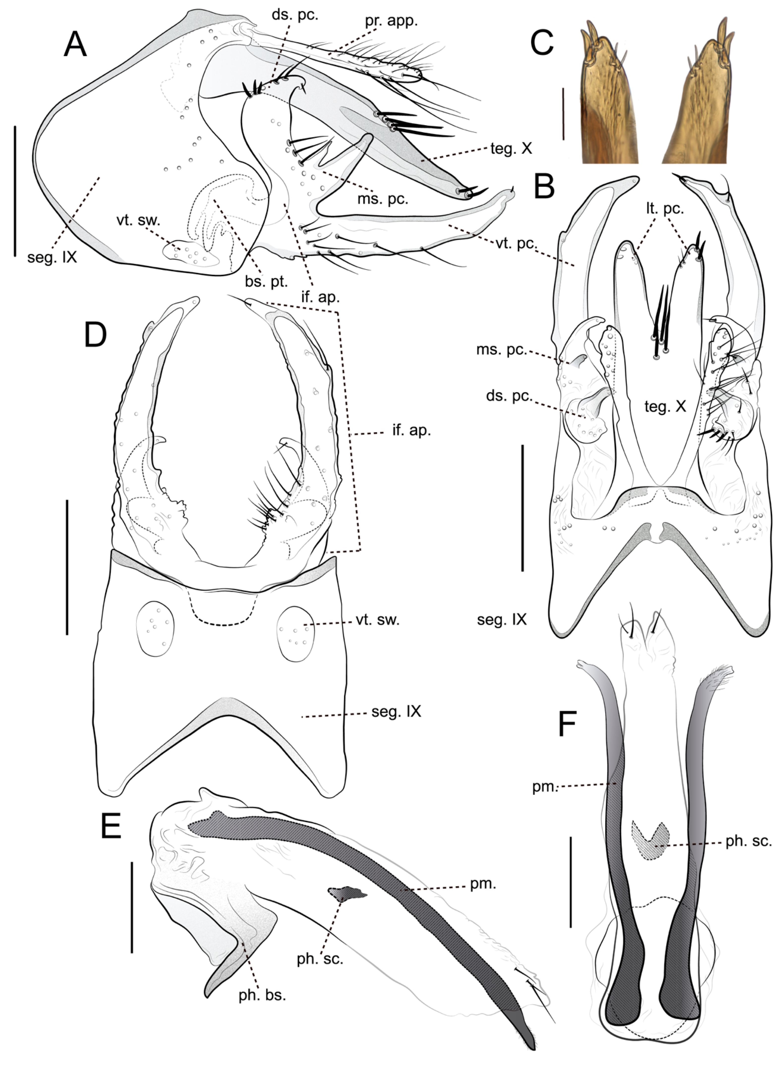 Insects 16 00832 g003