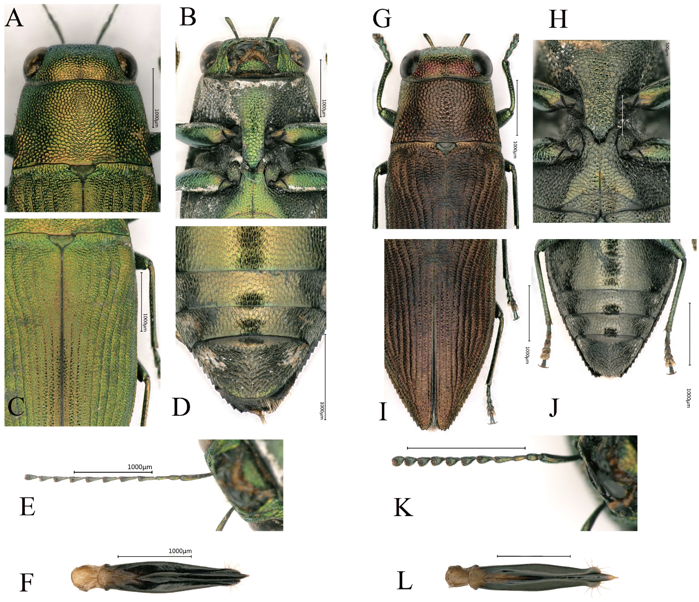 Insects 16 00839 g005