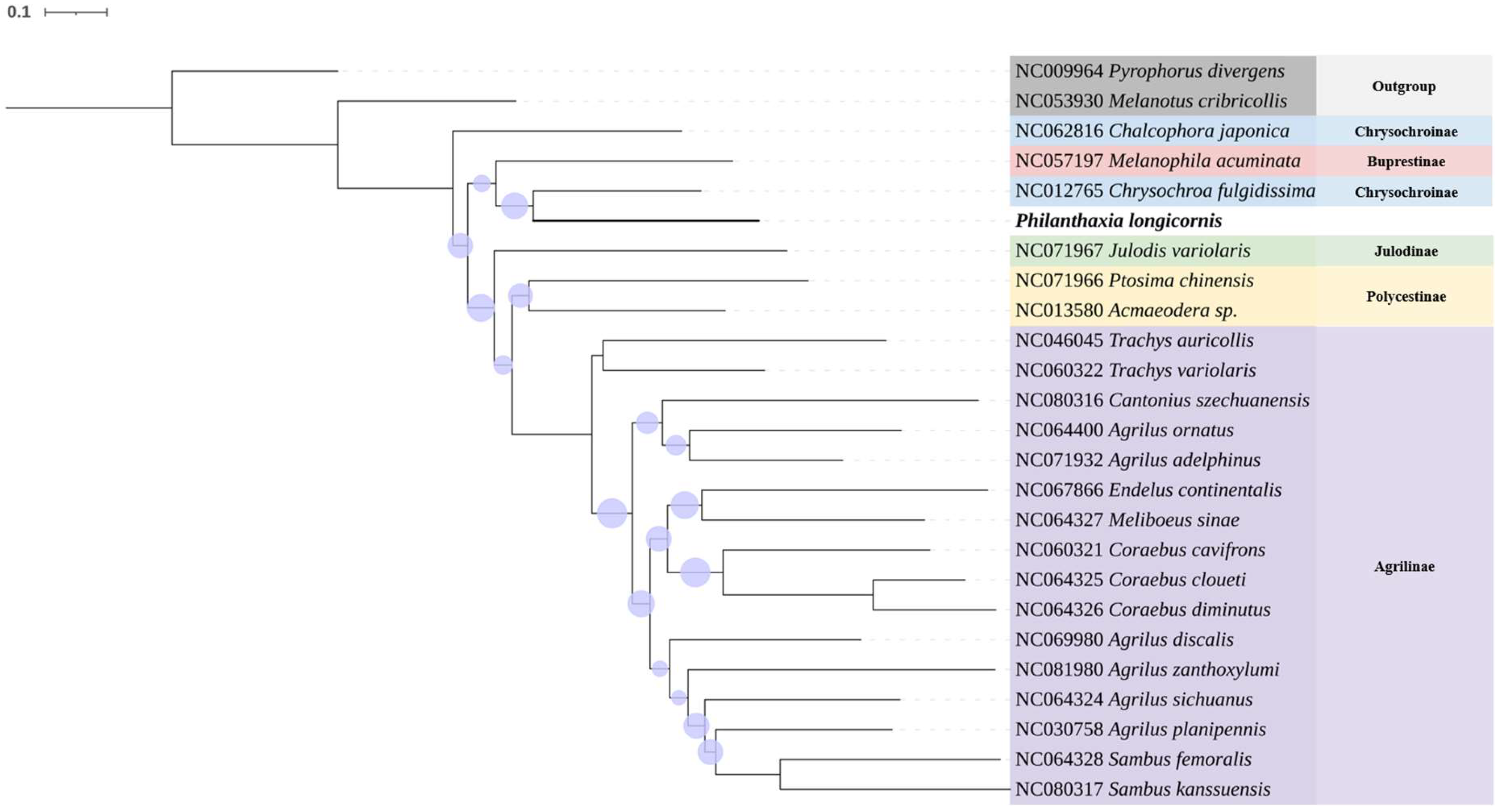 Insects 16 00839 g006