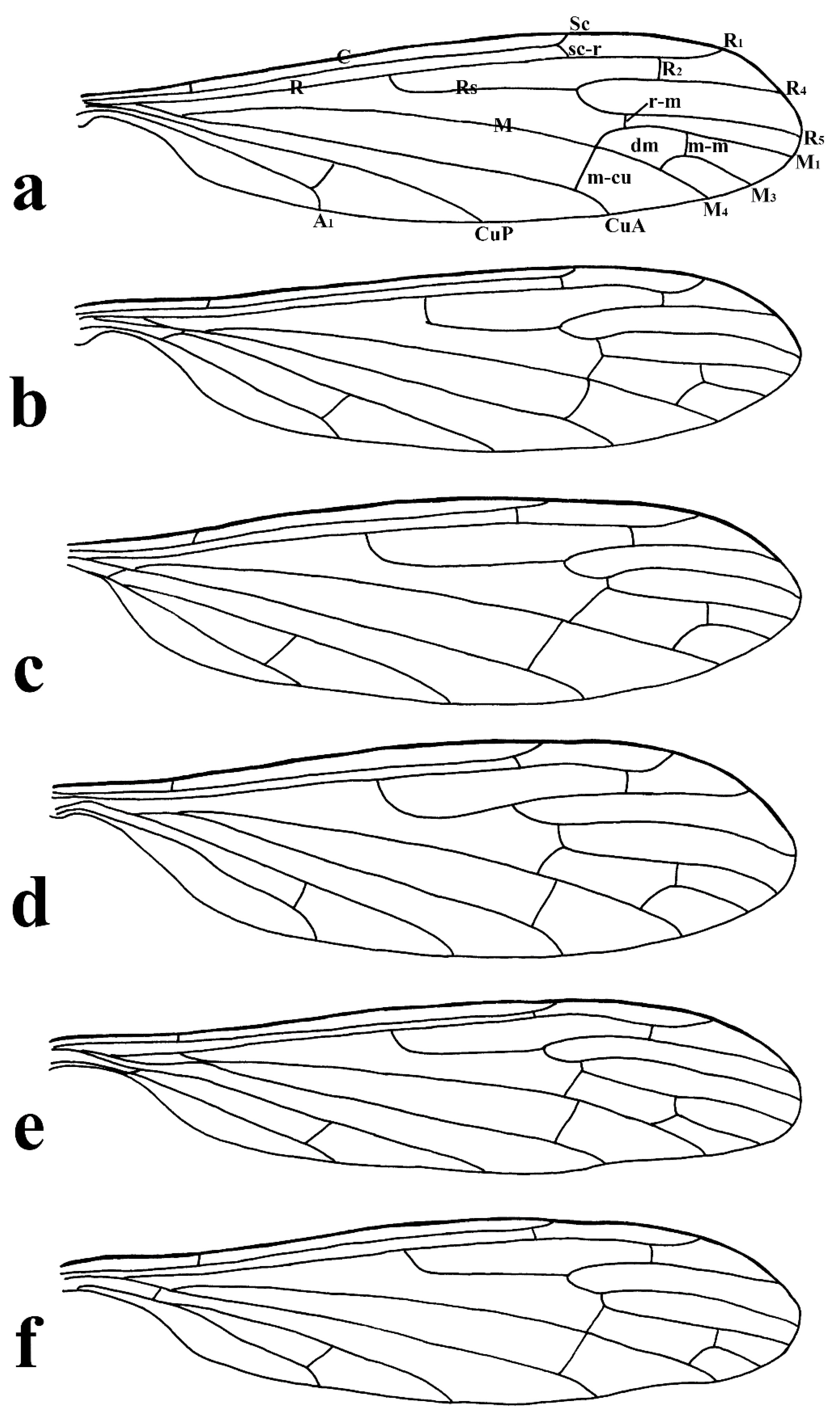 Insects 16 00845 g001
