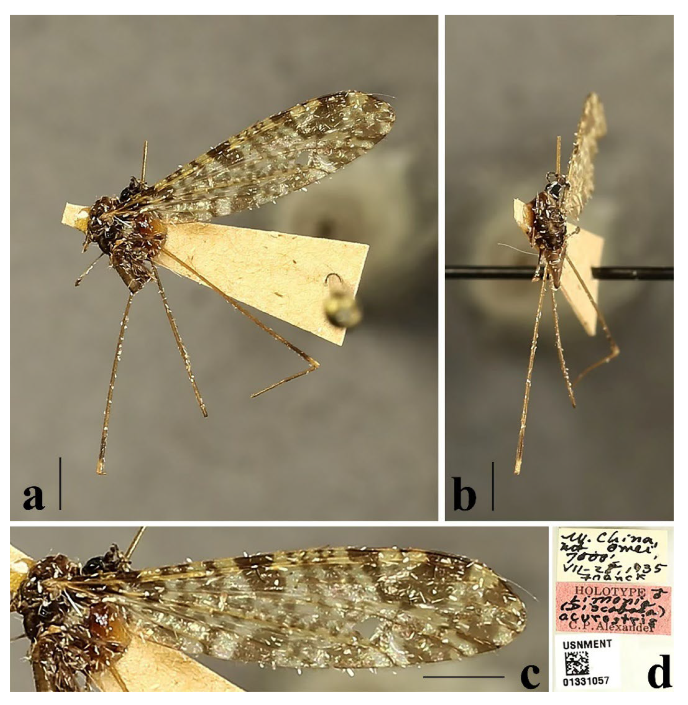 Insects 16 00845 g002