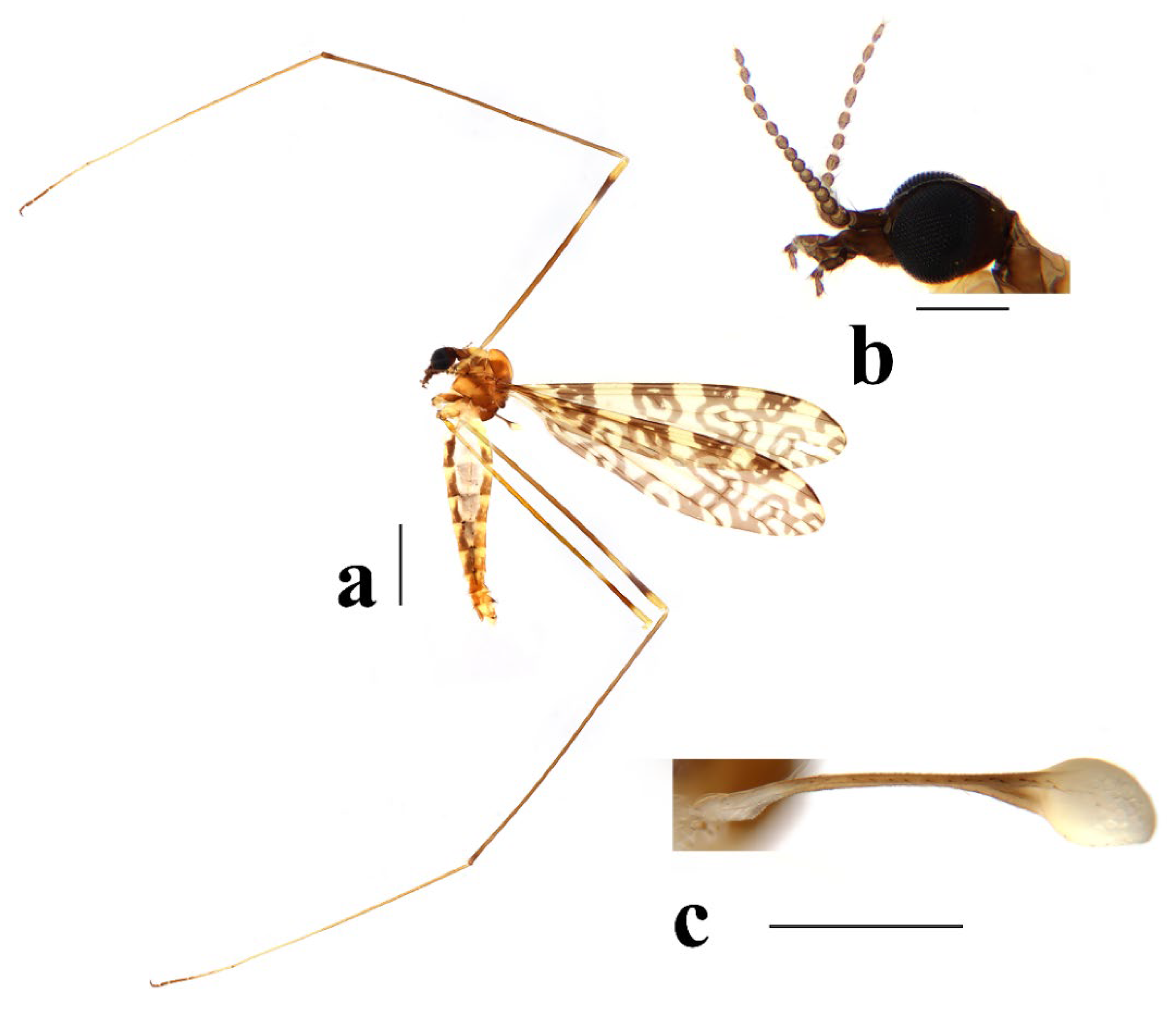 Insects 16 00845 g003