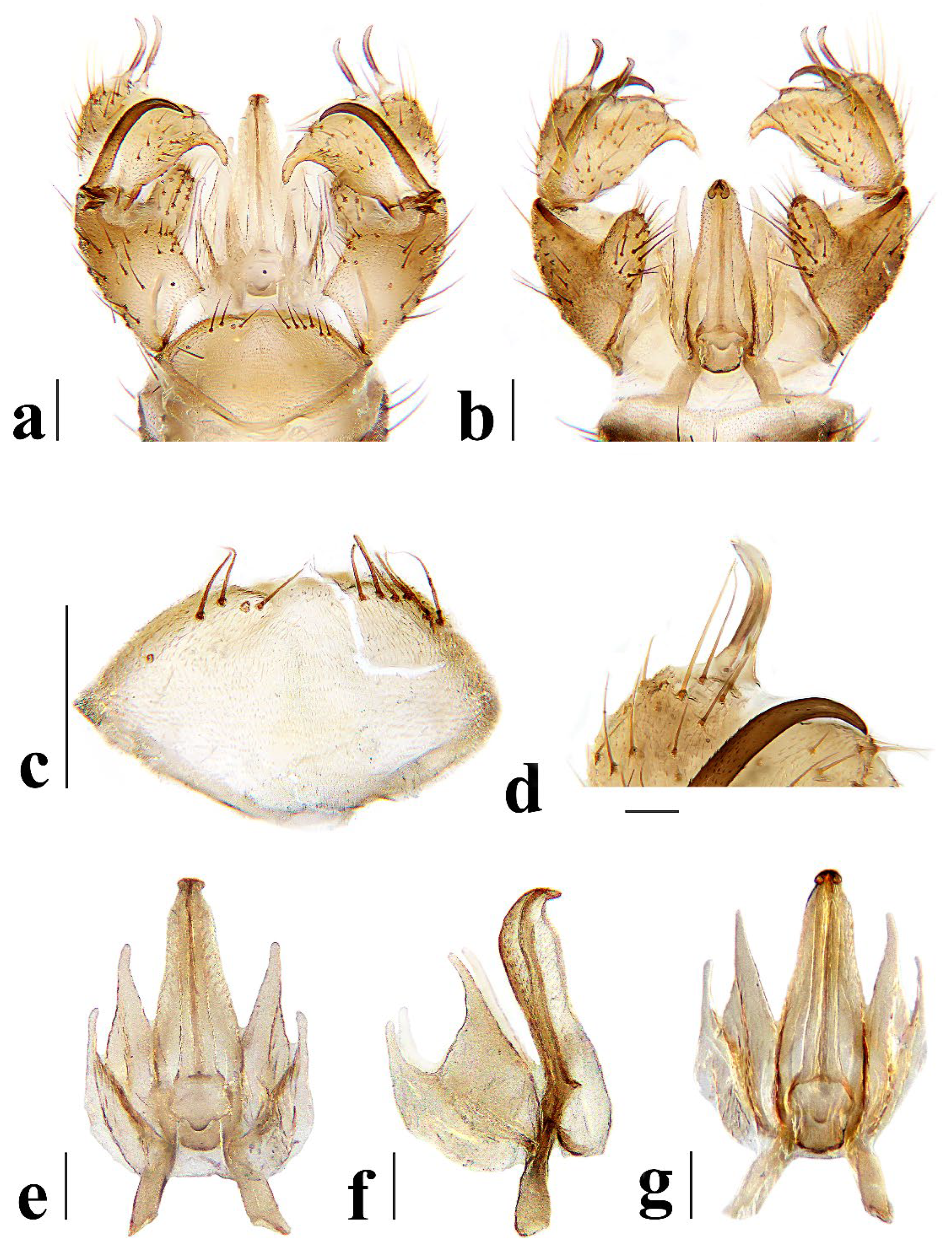 Insects 16 00845 g016