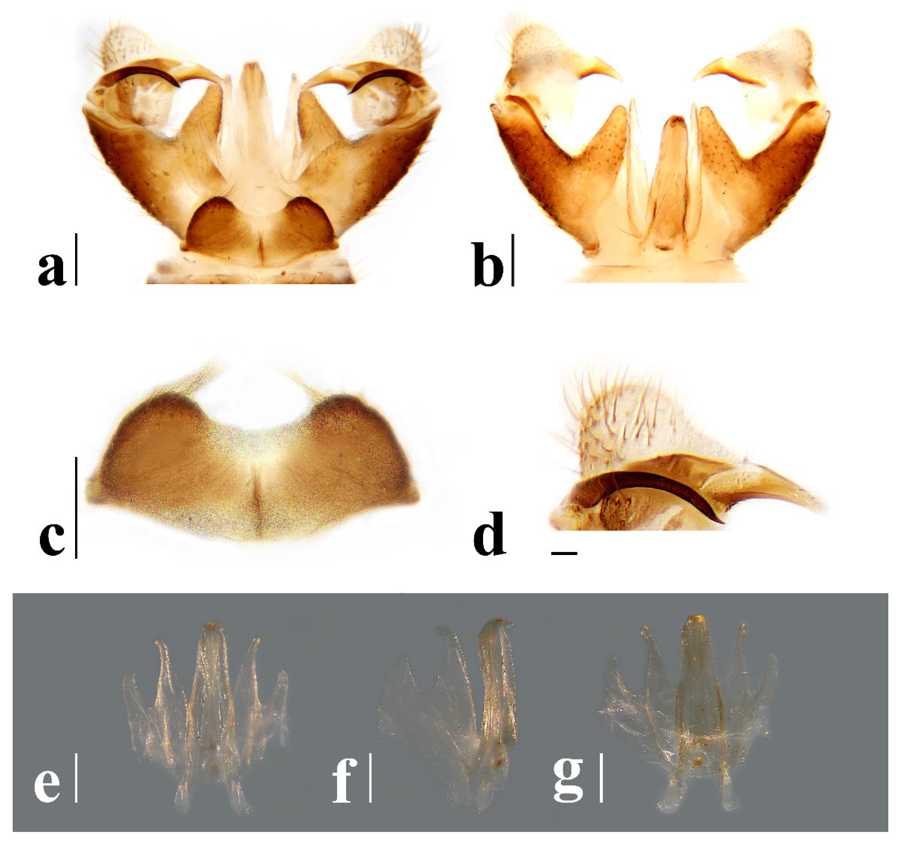 Insects 16 00845 g021
