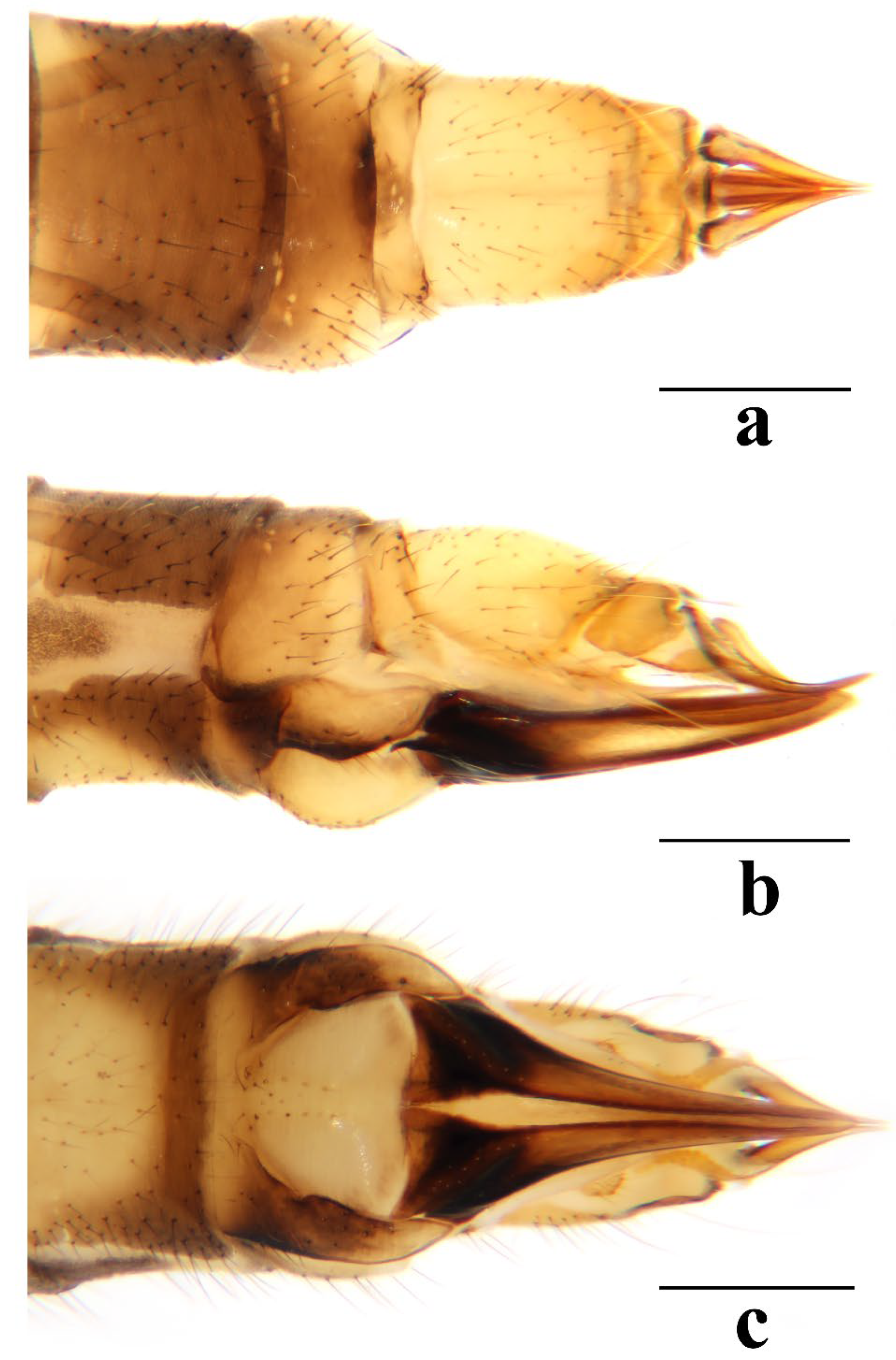 Insects 16 00845 g022